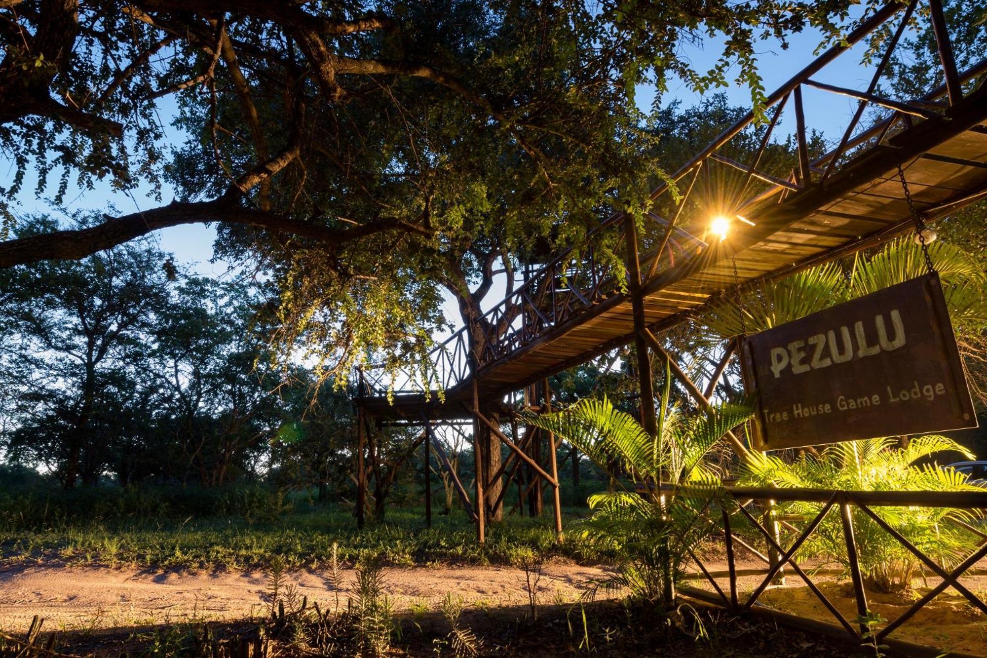 Pezulu Tree House Lodge