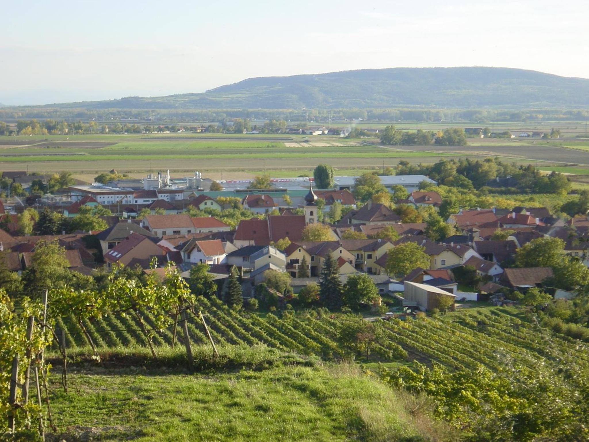 Weingut und Gästehaus Berger