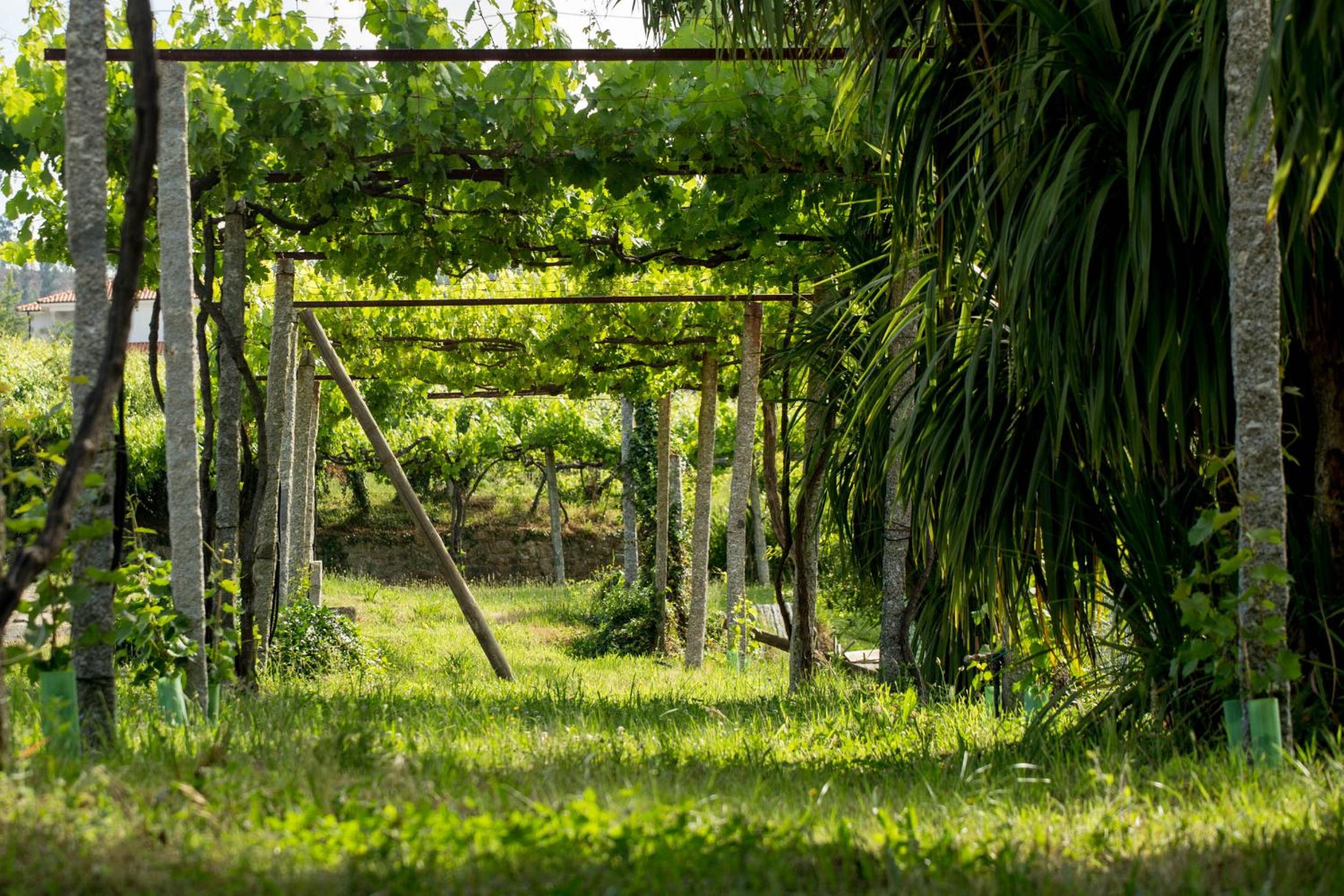 Quinta de Lourosa