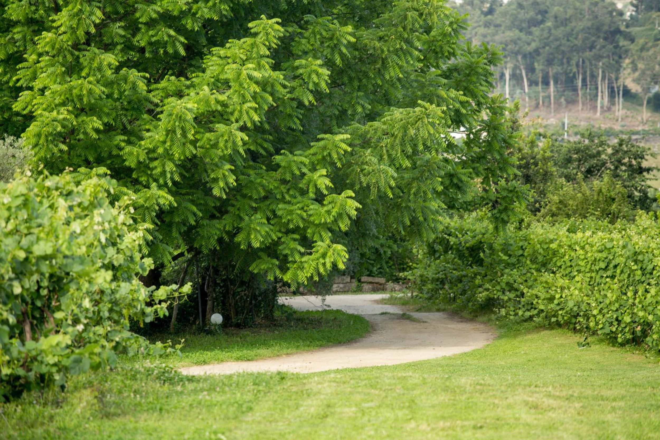 Quinta de Lourosa