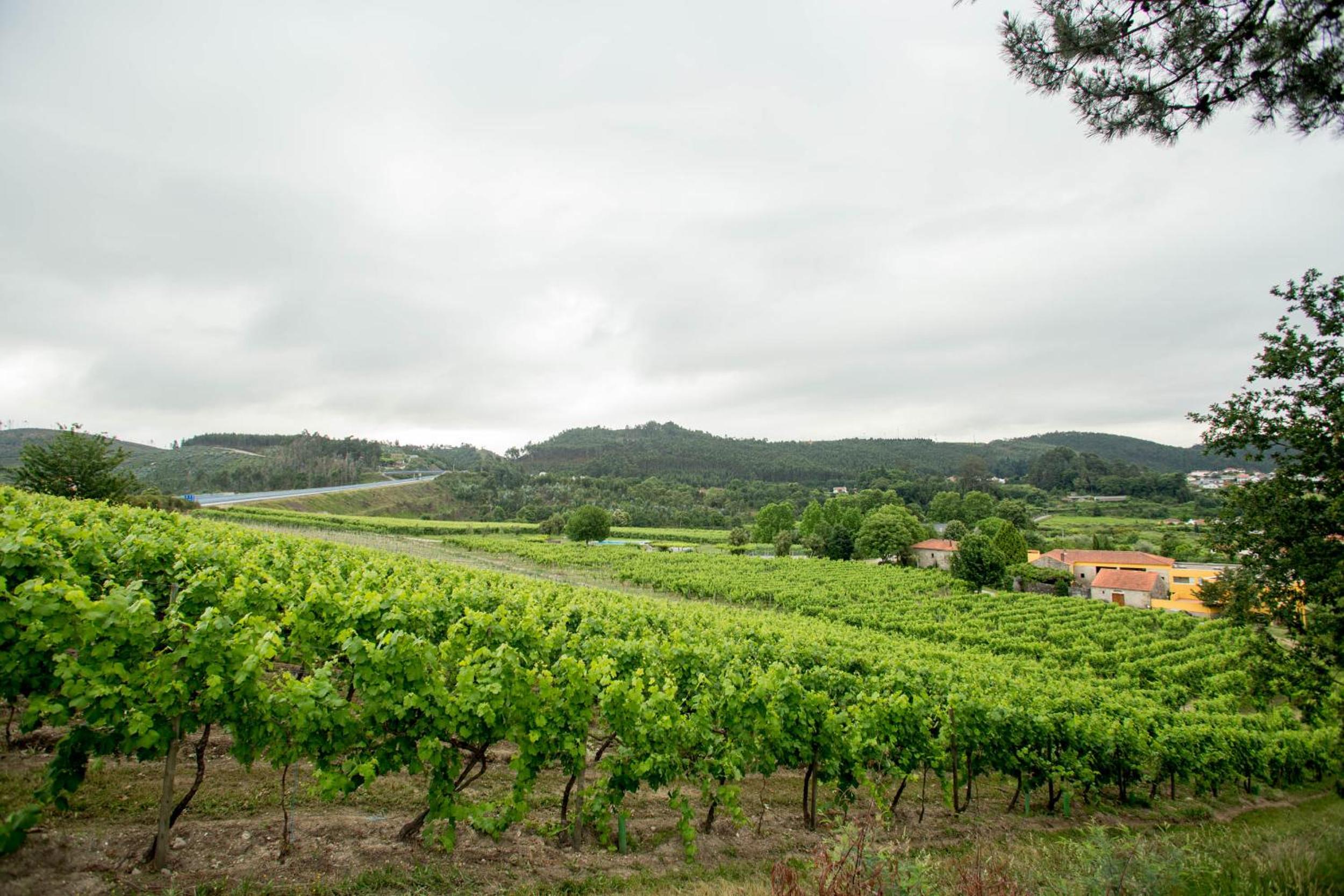 Quinta de Lourosa
