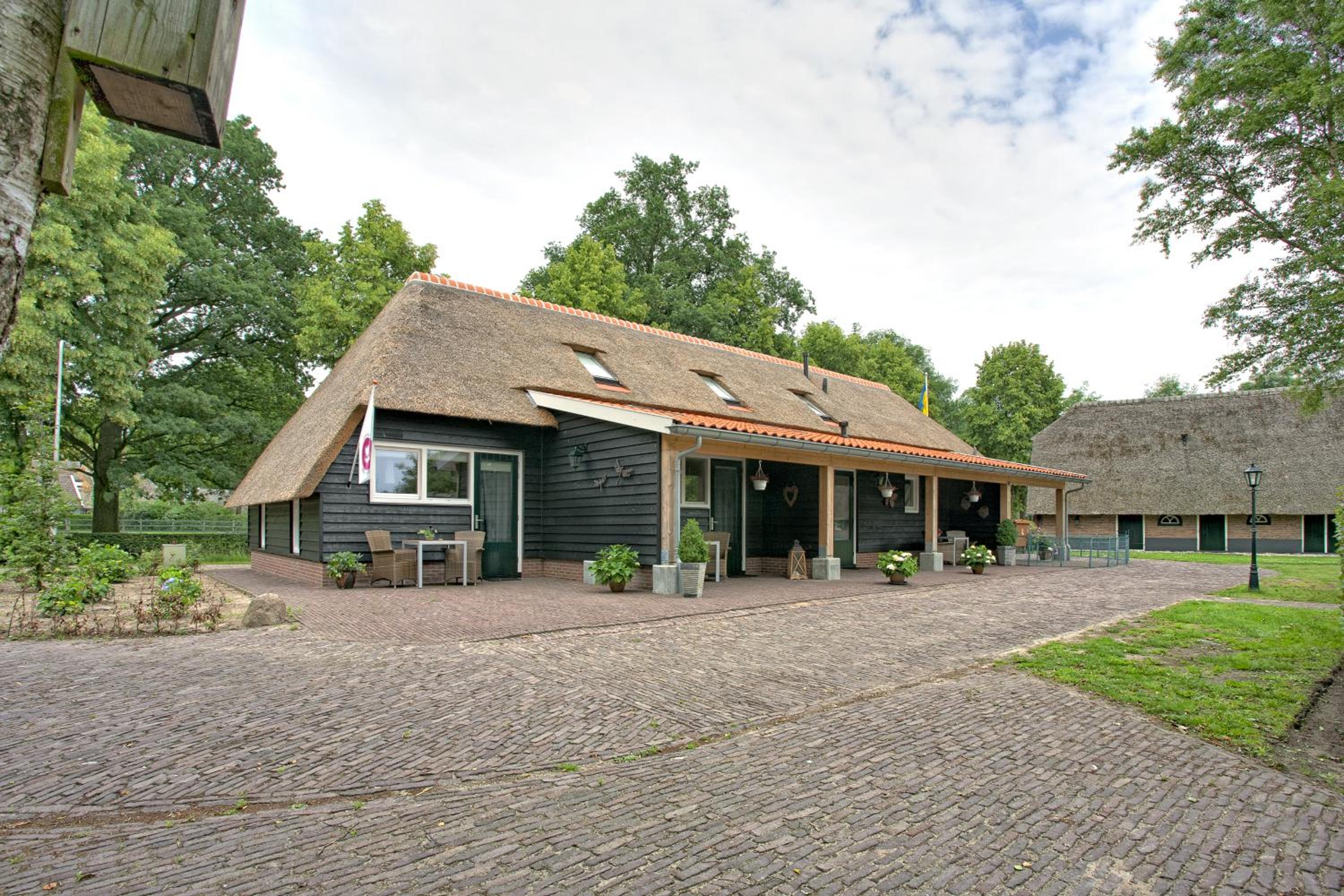 Rheezerstee, photo 43