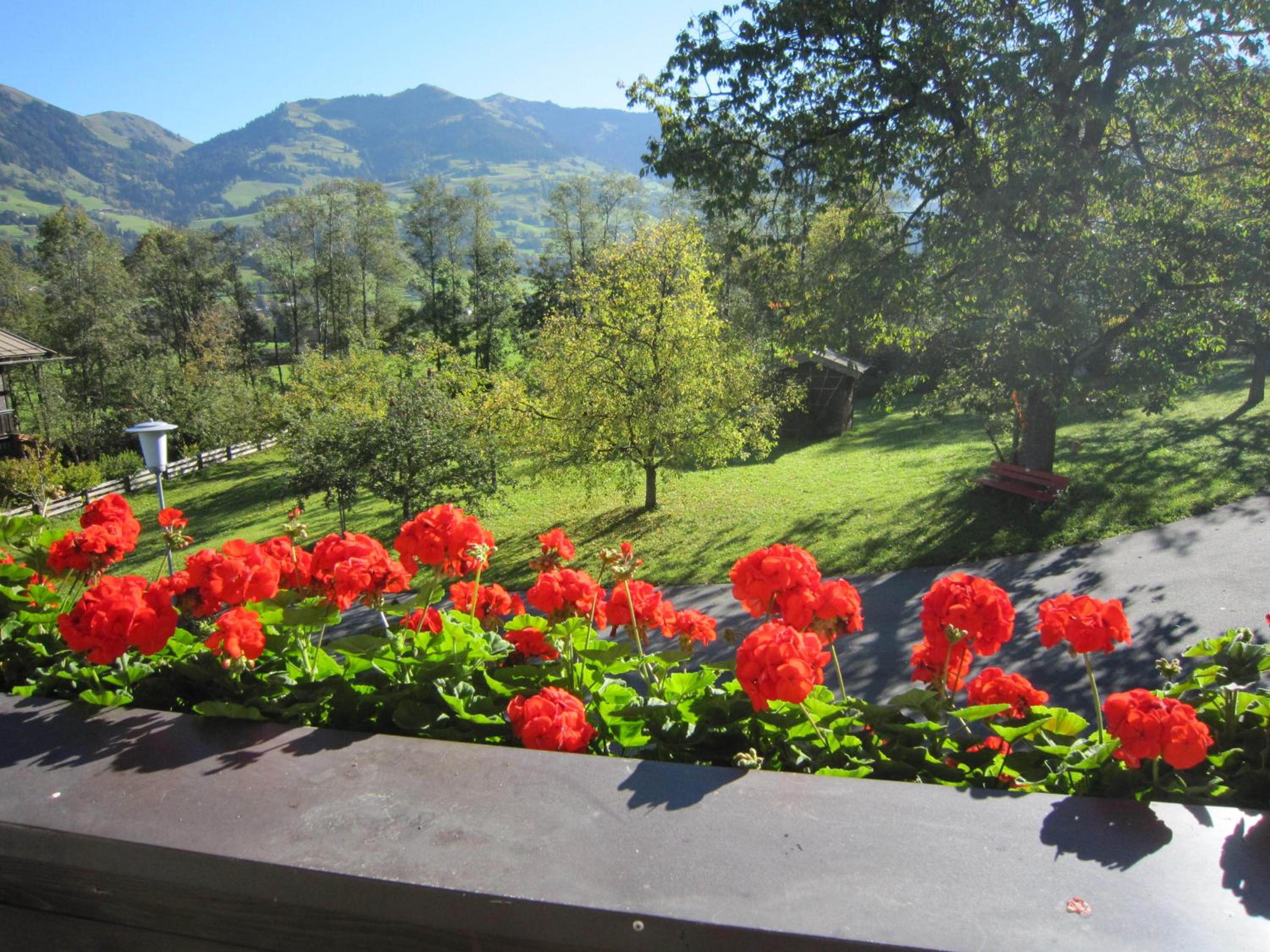 Pension Feiersinger