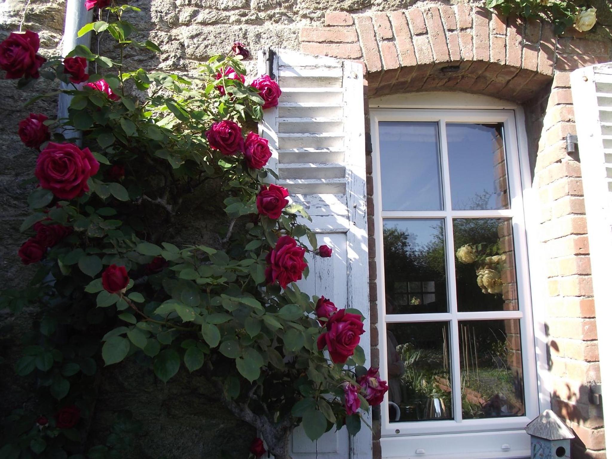 Photo 26
