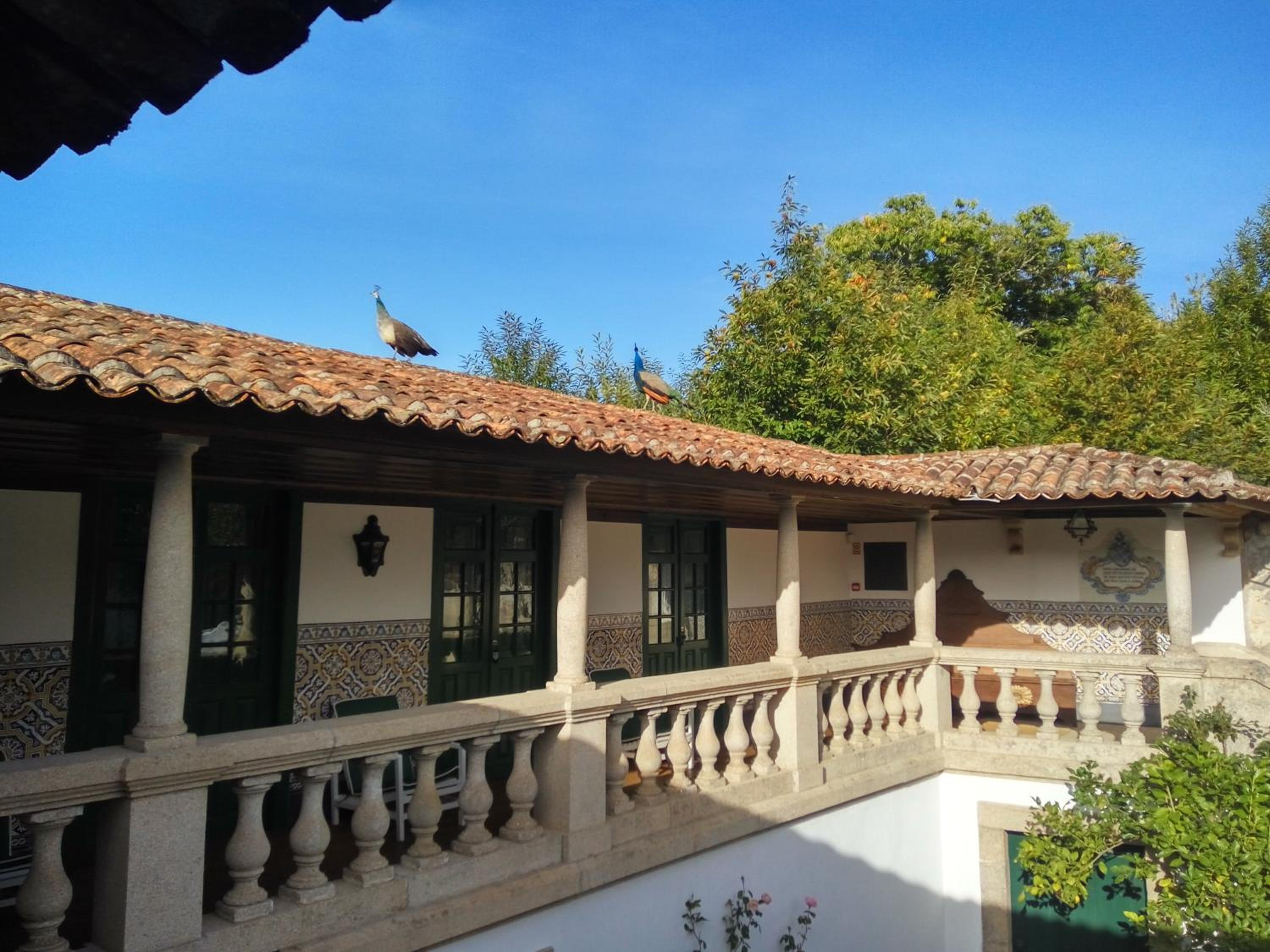 Casa de Piellas view 5