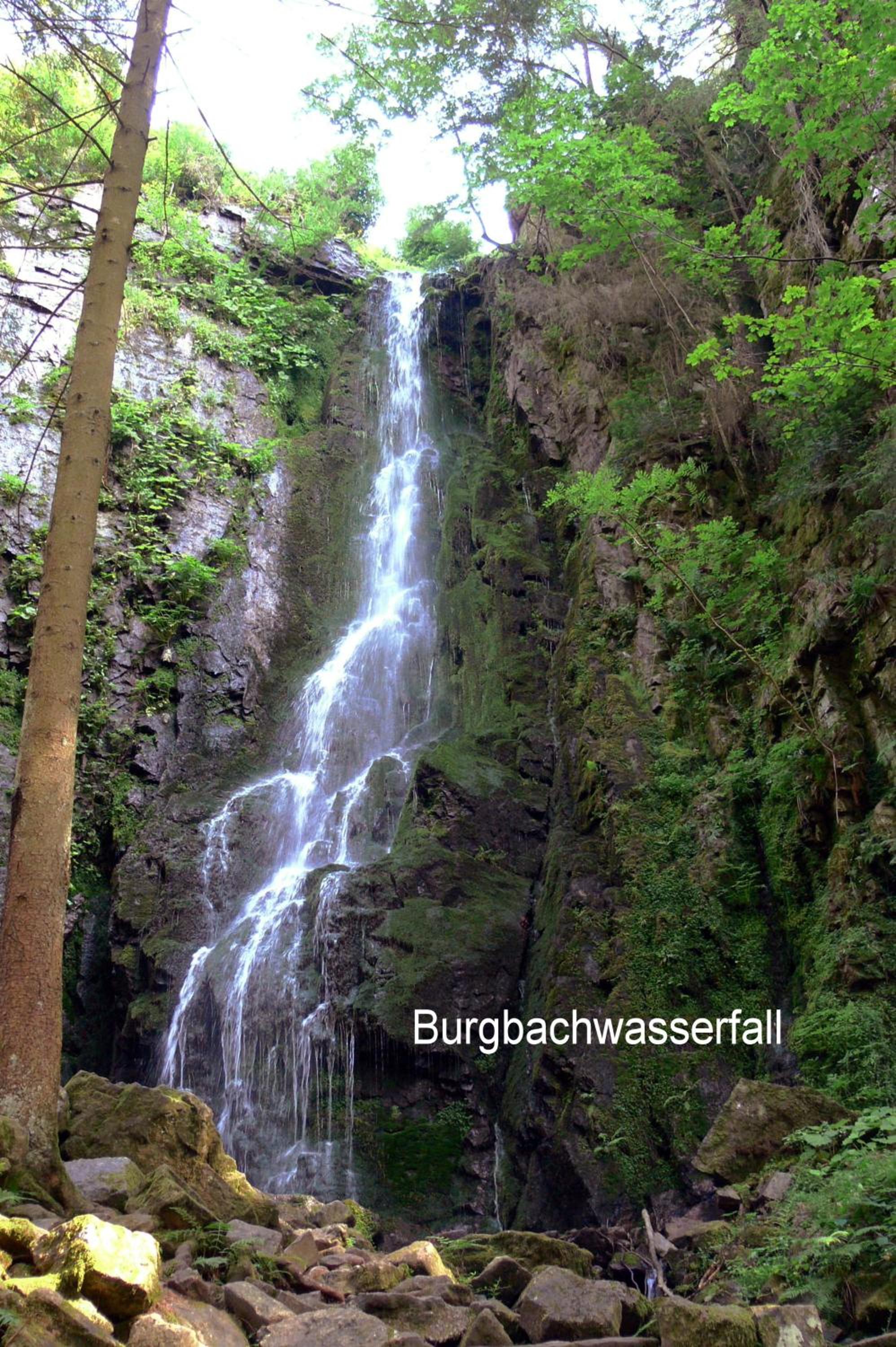 Gasthaus Talblick - Schwarzwald Plus Karte inkludiert