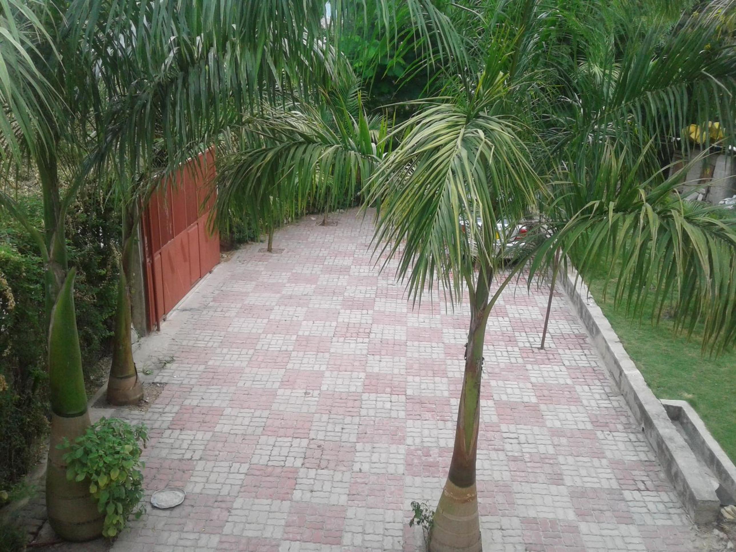 Photo 48