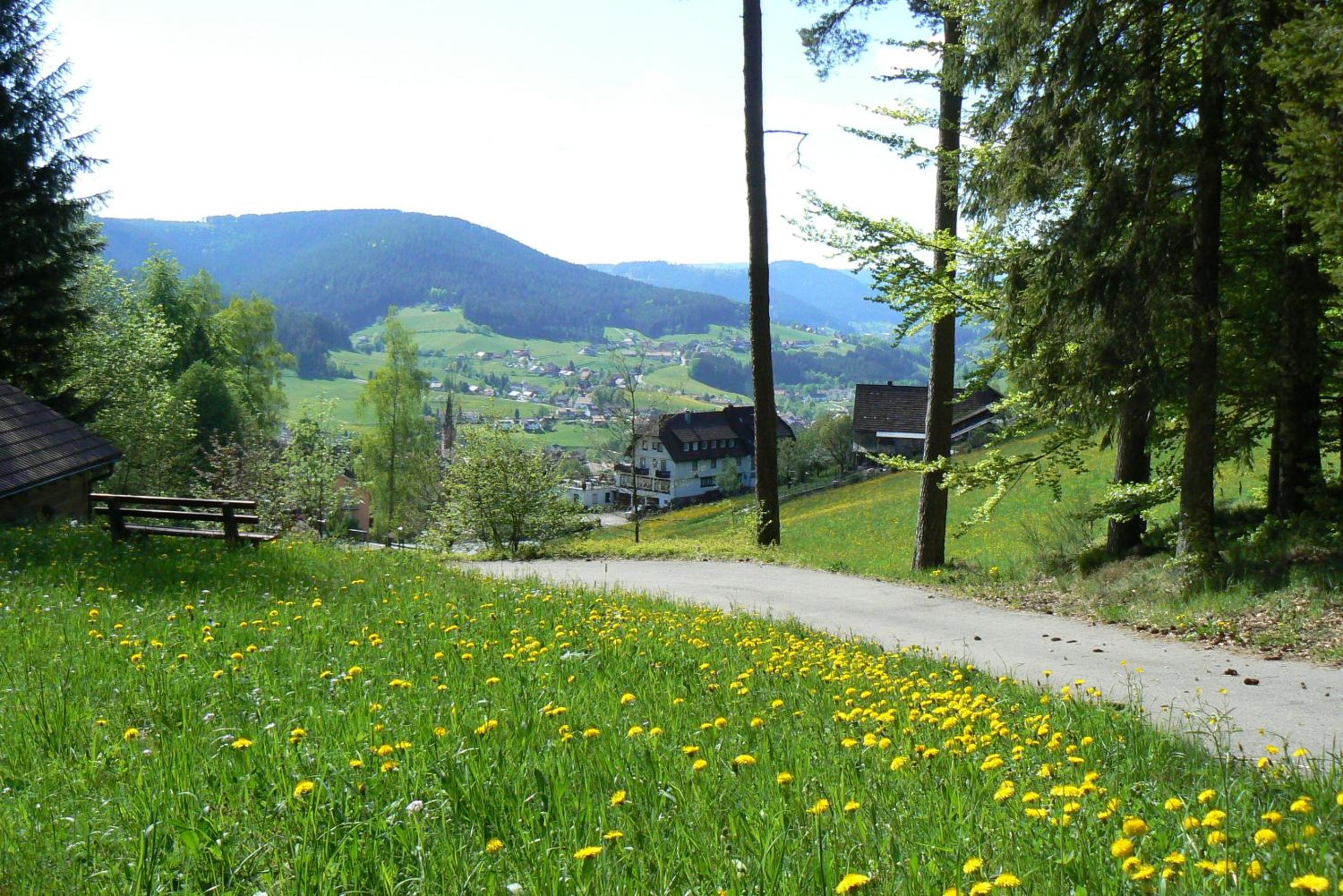 Gasthaus Talblick - Schwarzwald Plus Karte inkludiert