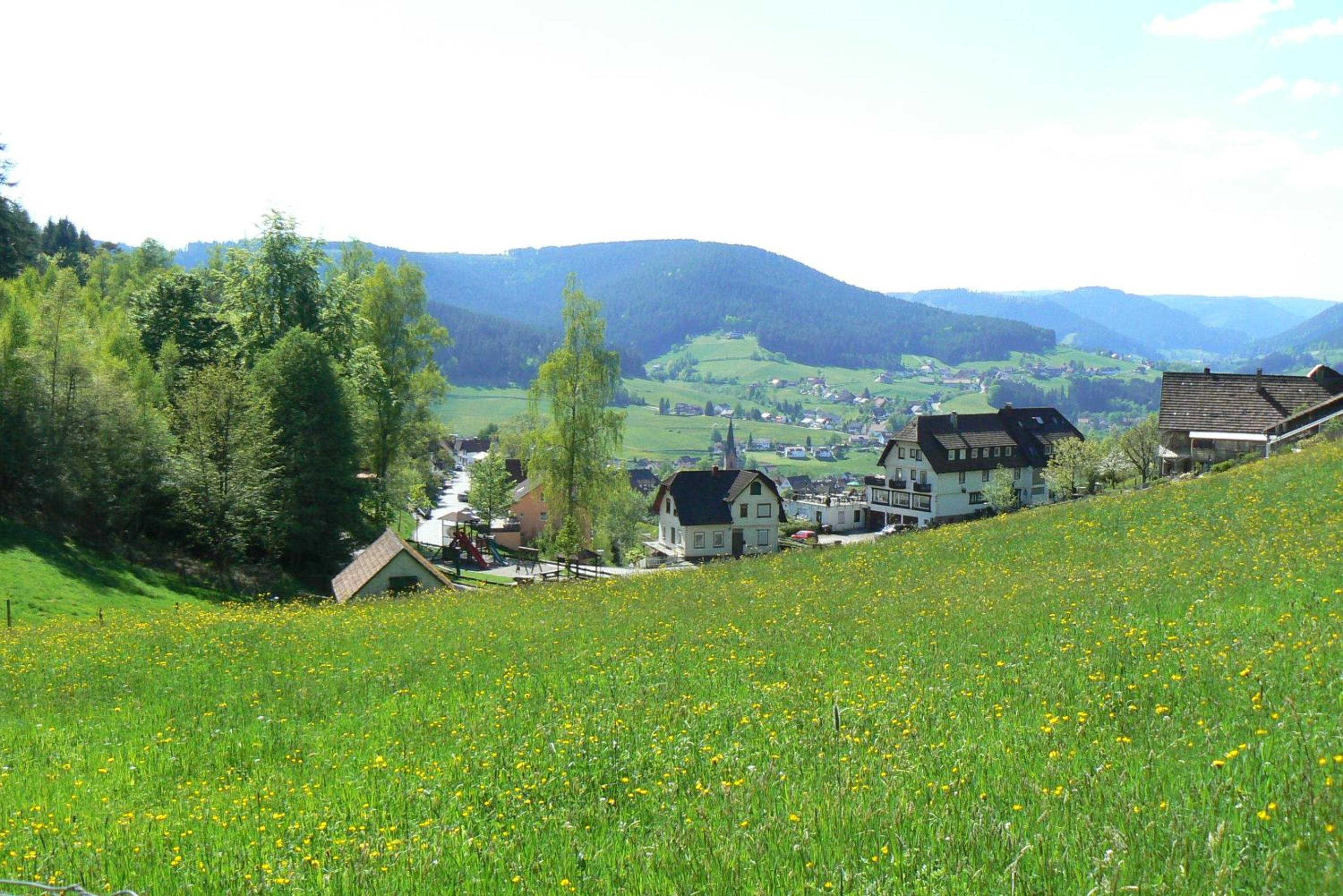 Gasthaus Talblick - Schwarzwald Plus Karte inkludiert