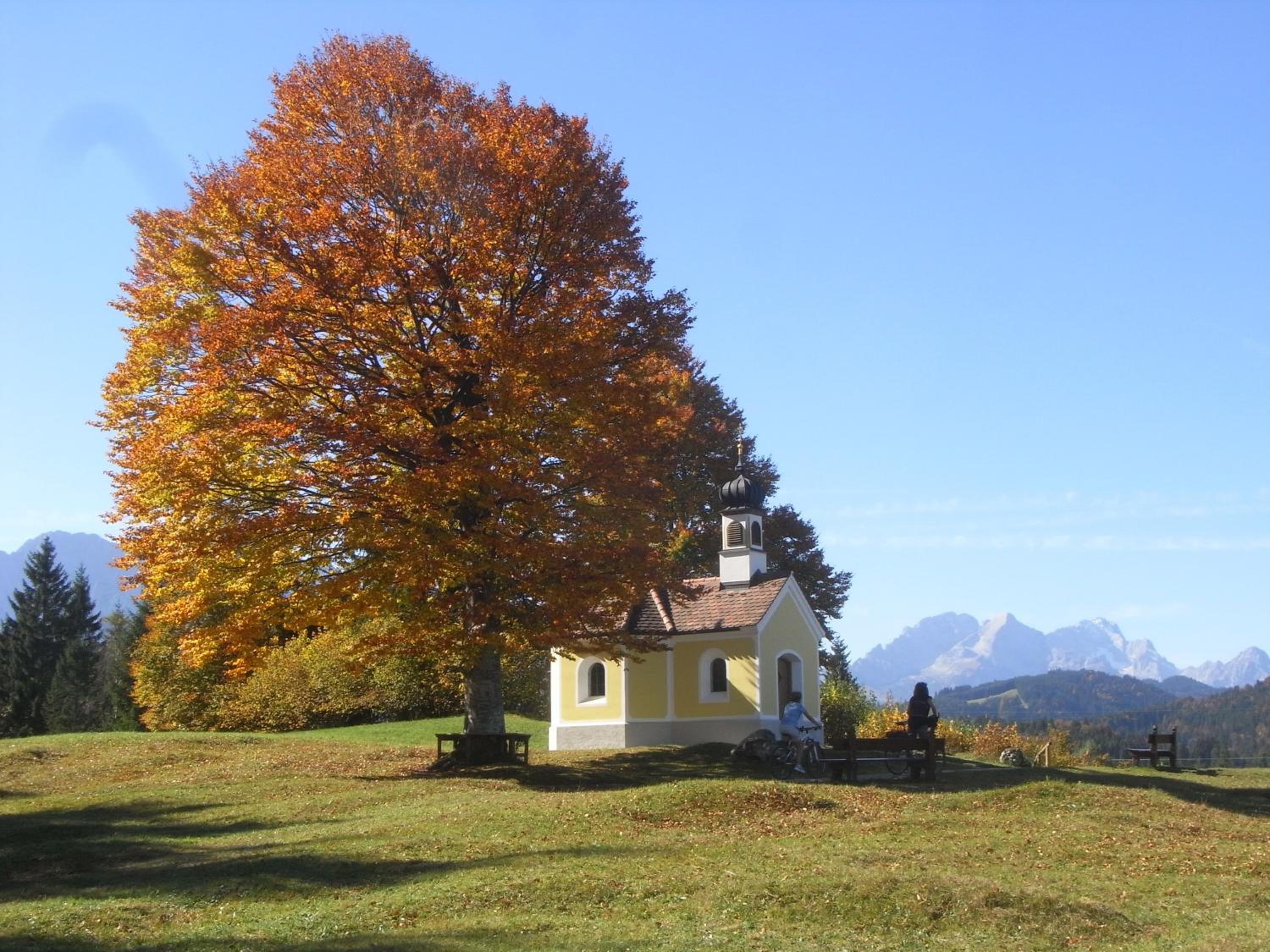 Photo 40