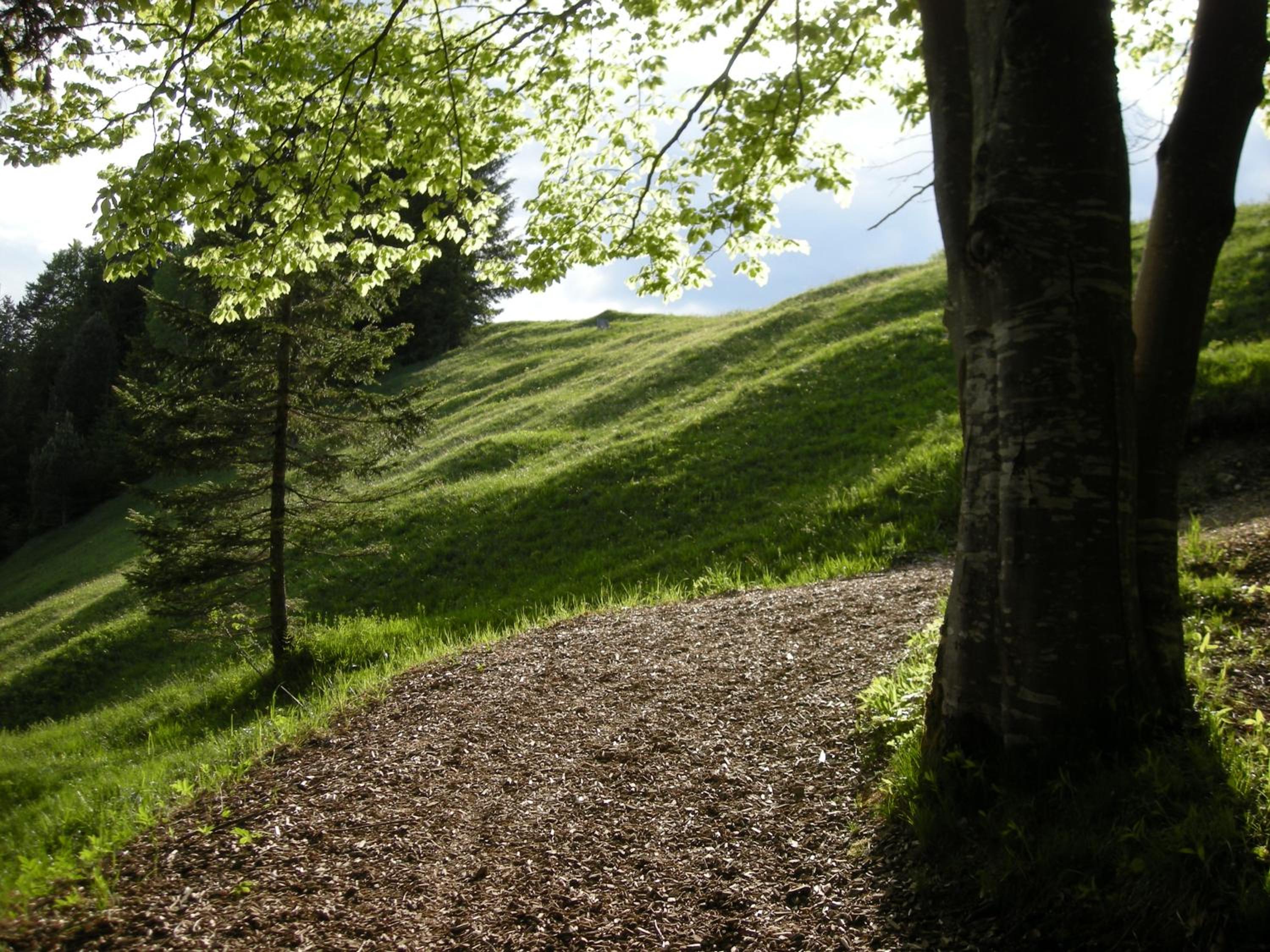 Photo 45