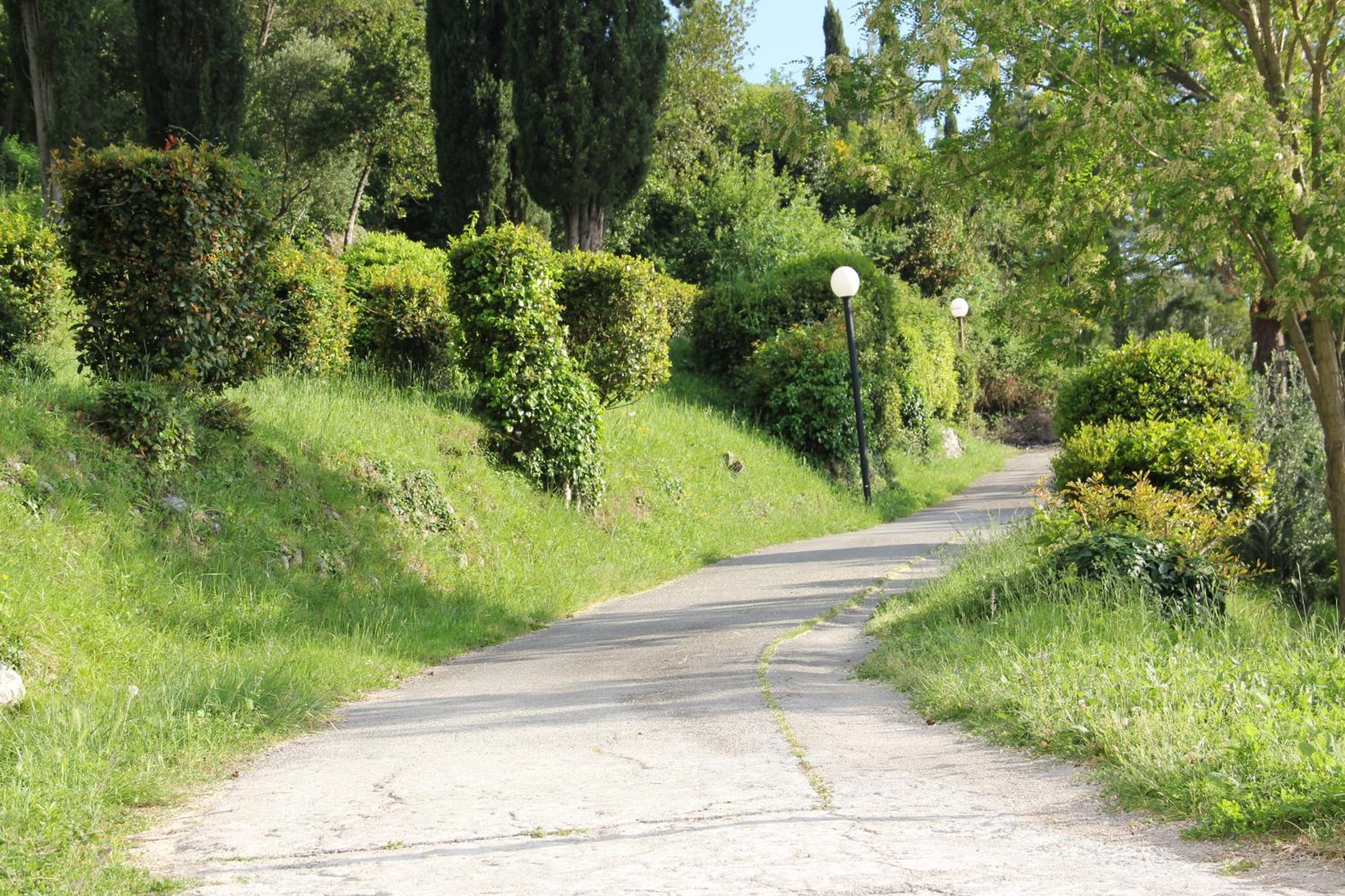 Photo 32