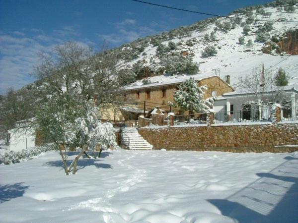 Photo 43