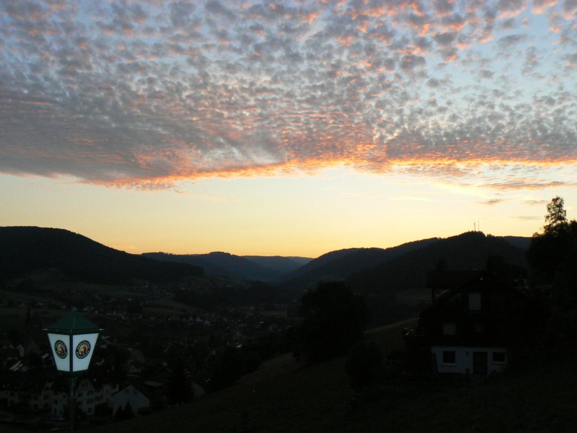 Gasthaus Talblick - Schwarzwald Plus Karte inkludiert