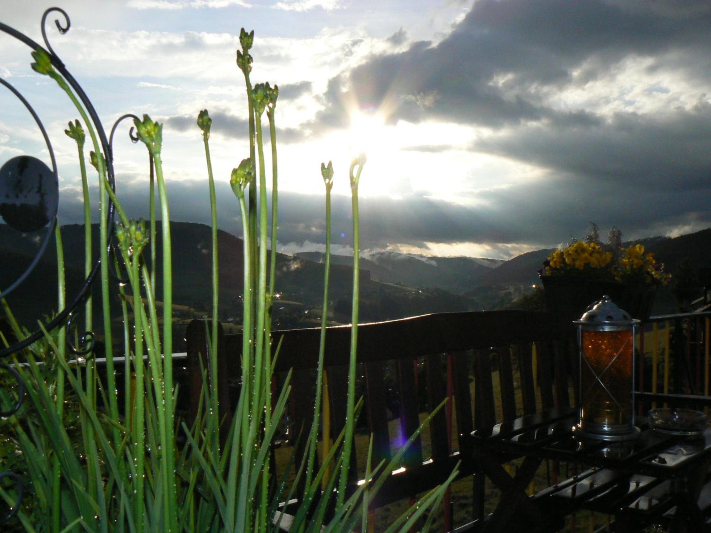 Gasthaus Talblick - Schwarzwald Plus Karte inkludiert