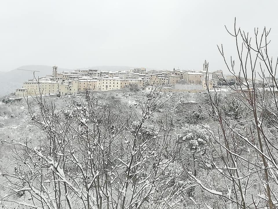Residence Grimani view 4