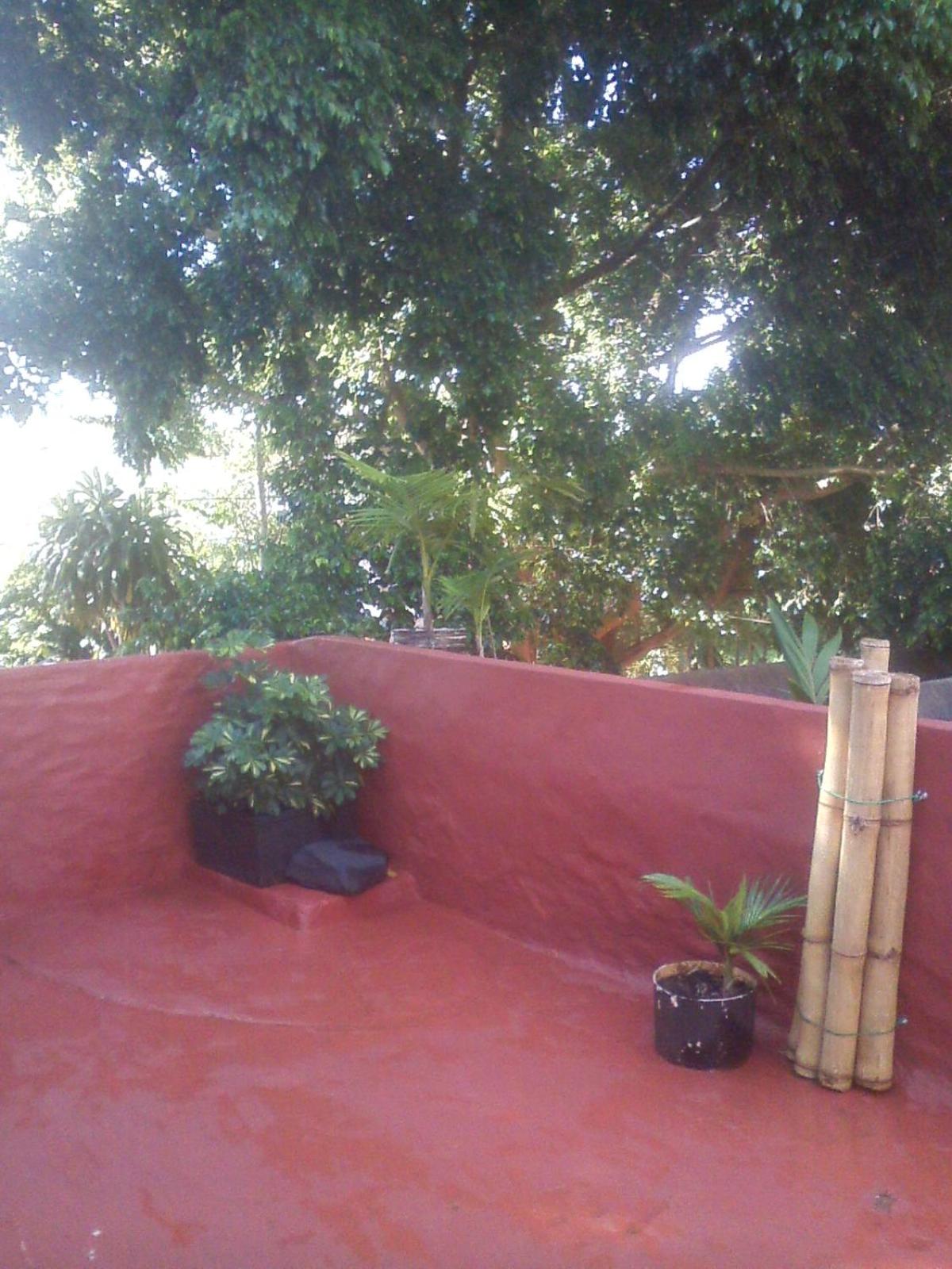 roof