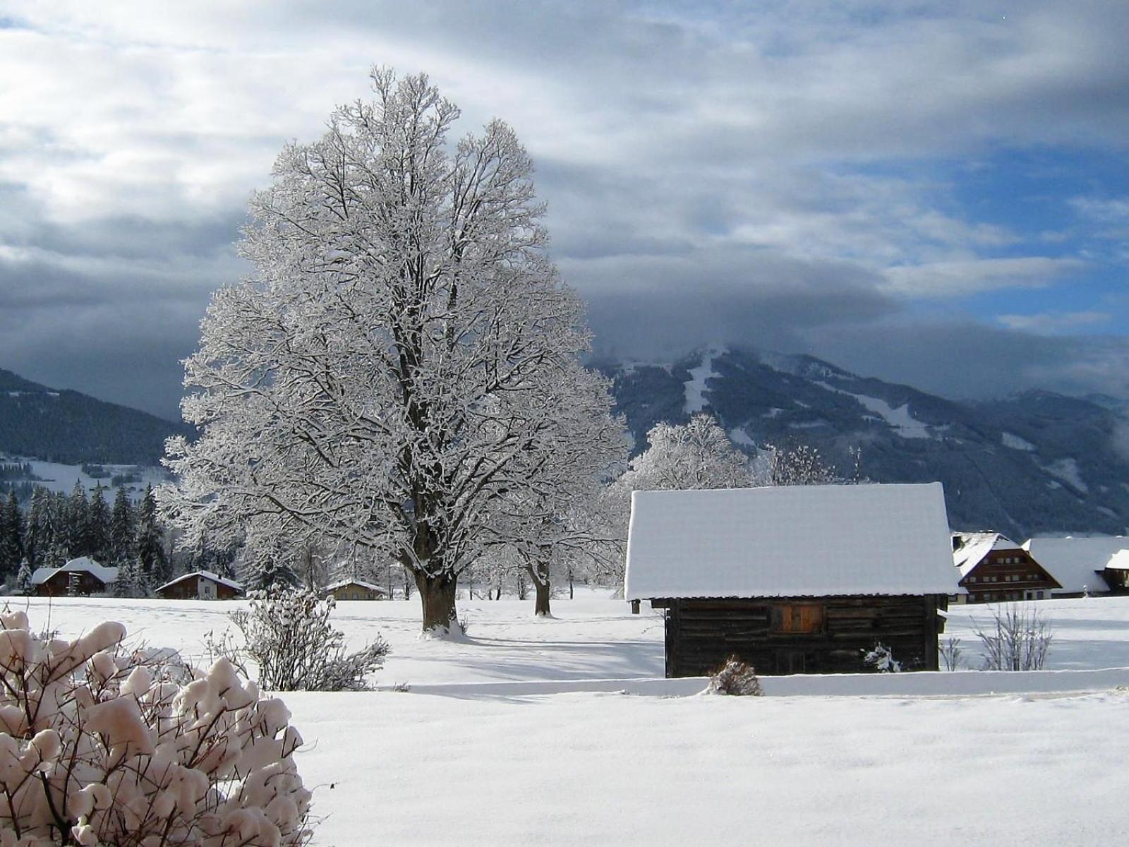 Blockhaus Royer