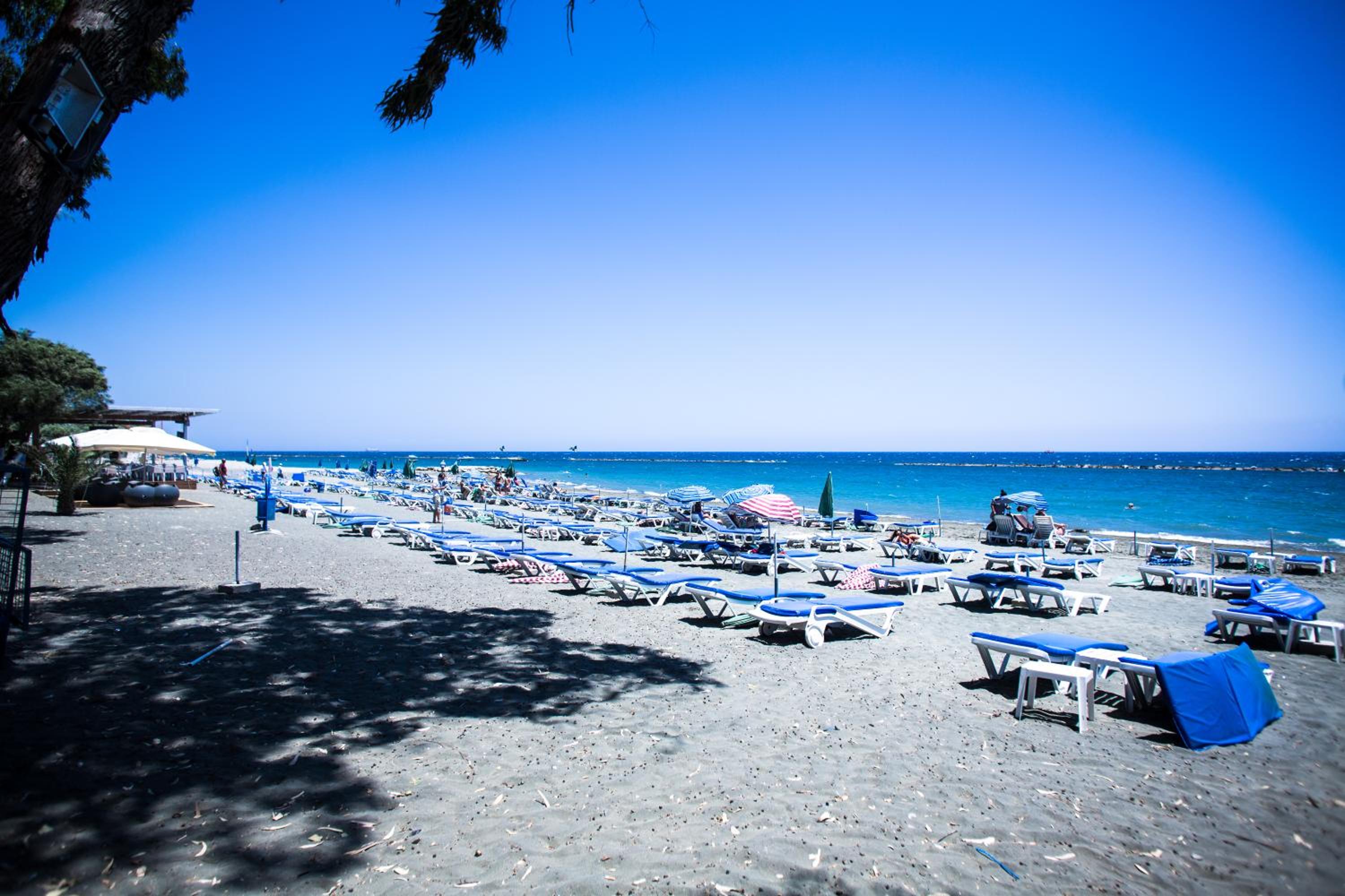 Photo 103