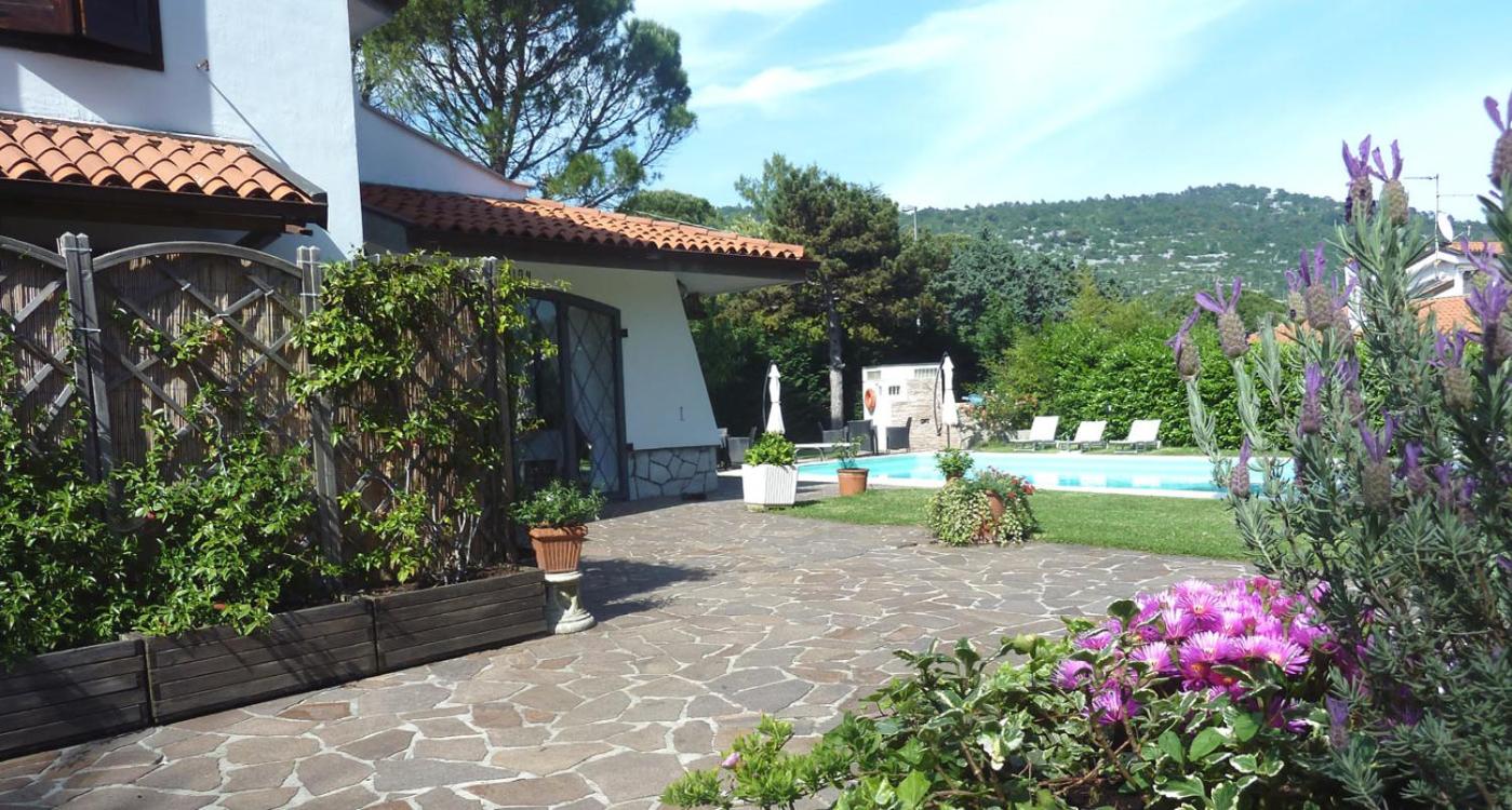 Photo 8
