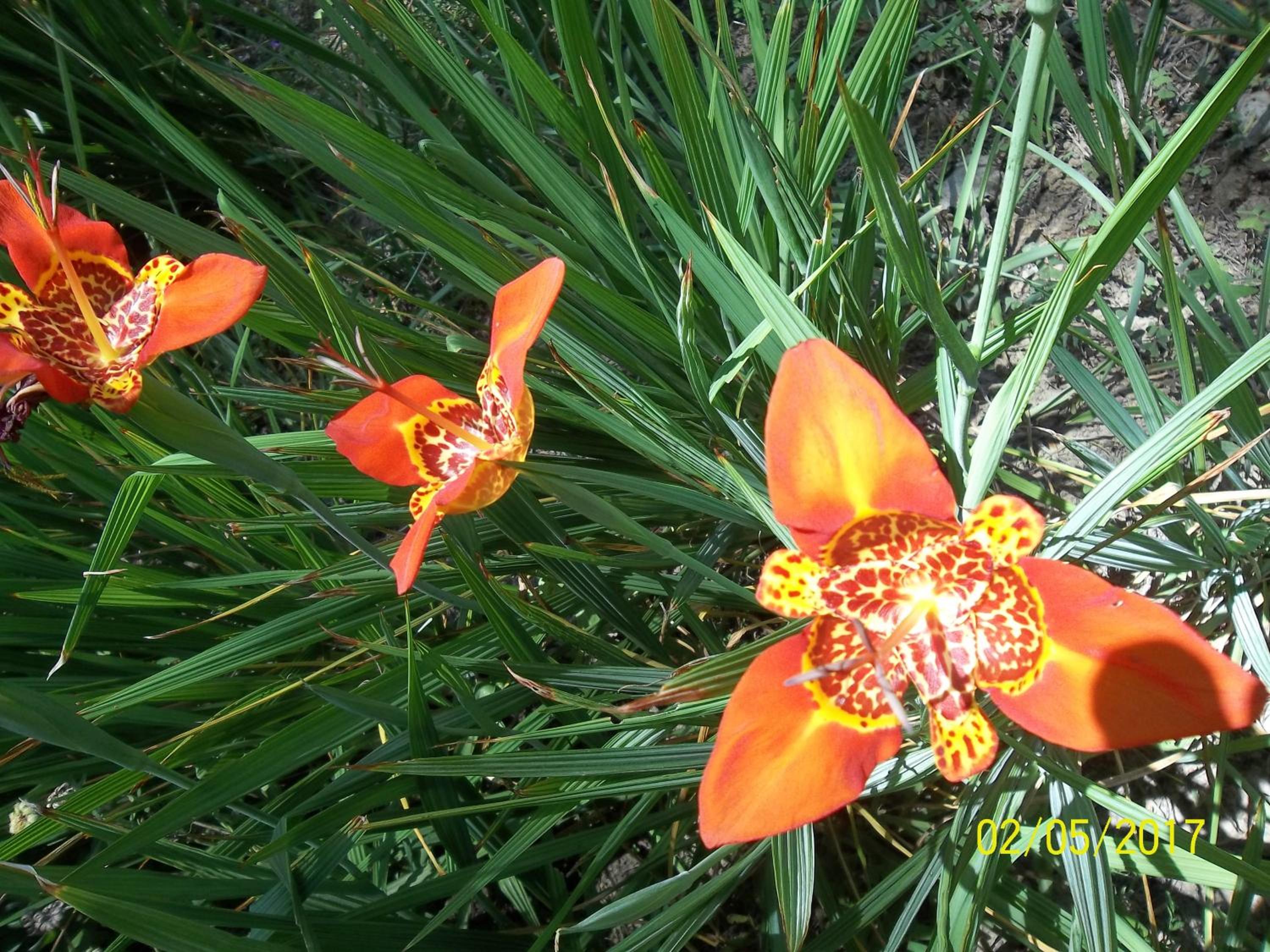 Photo 28