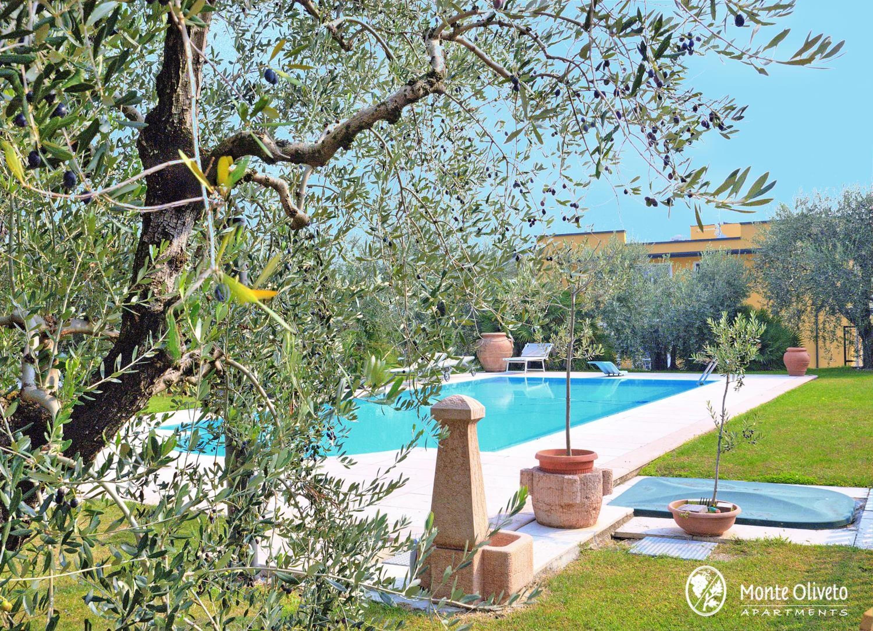 Agriturismo Monte Oliveto