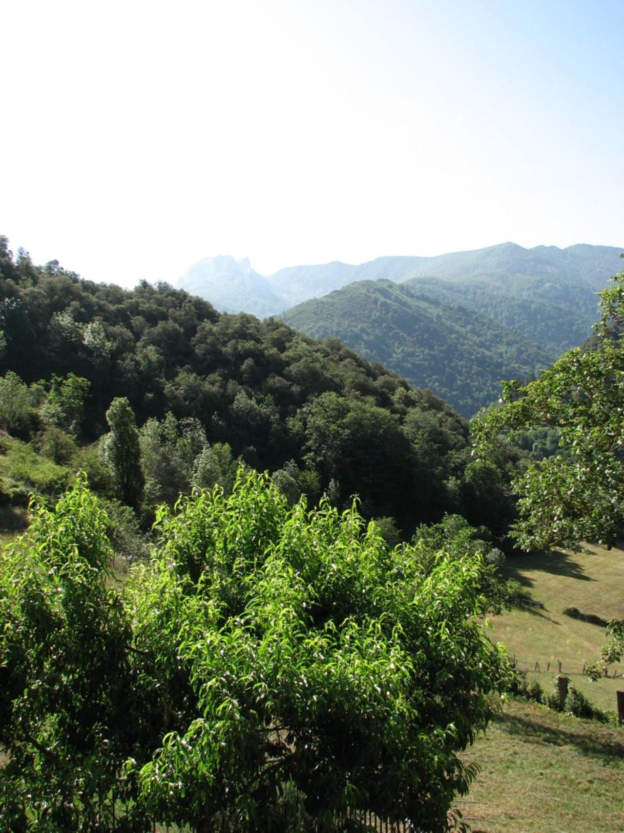 Viviendas Rurales Aldea de Dosamantes view 2