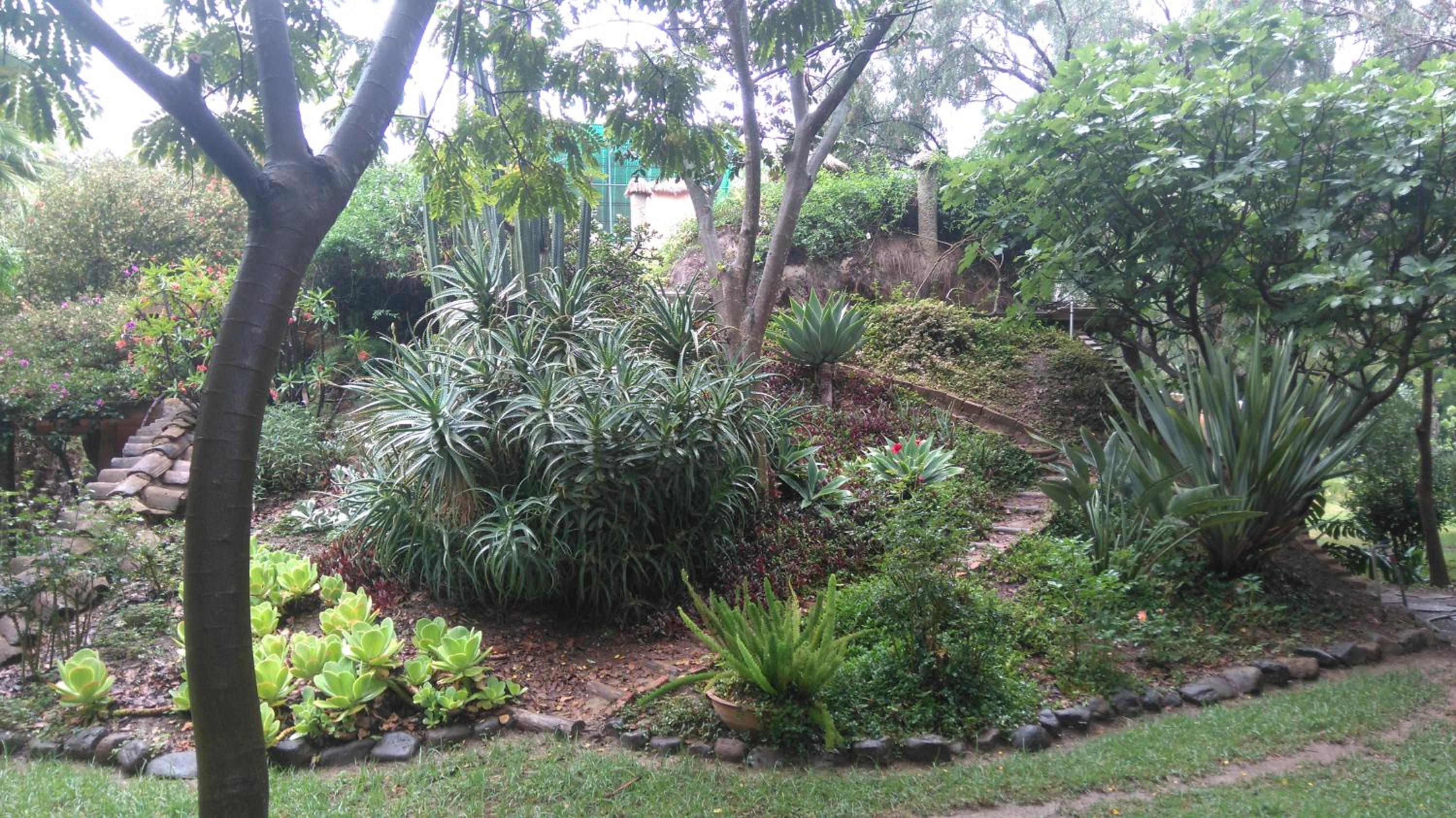 Photo 33