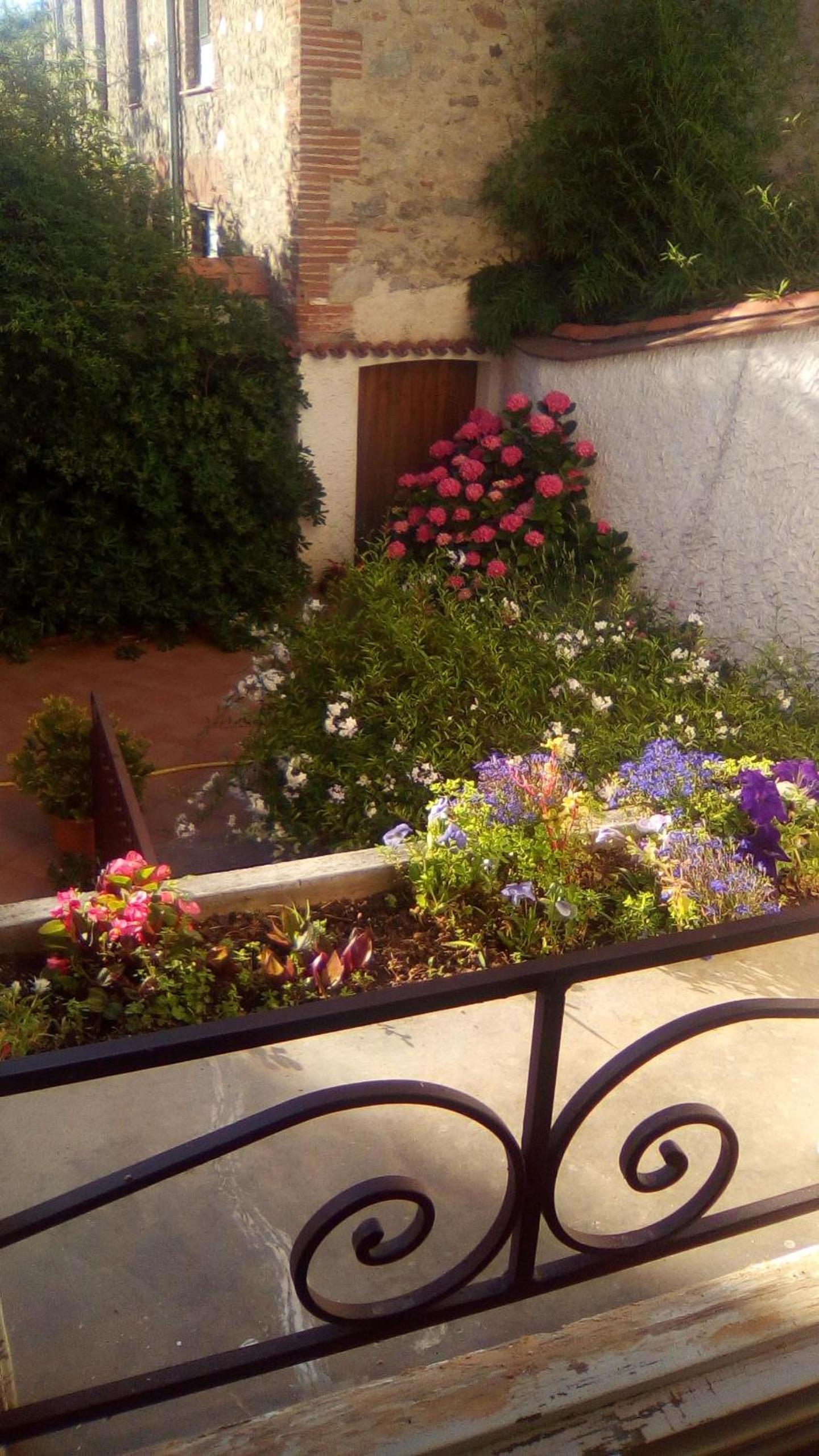 Photo 35