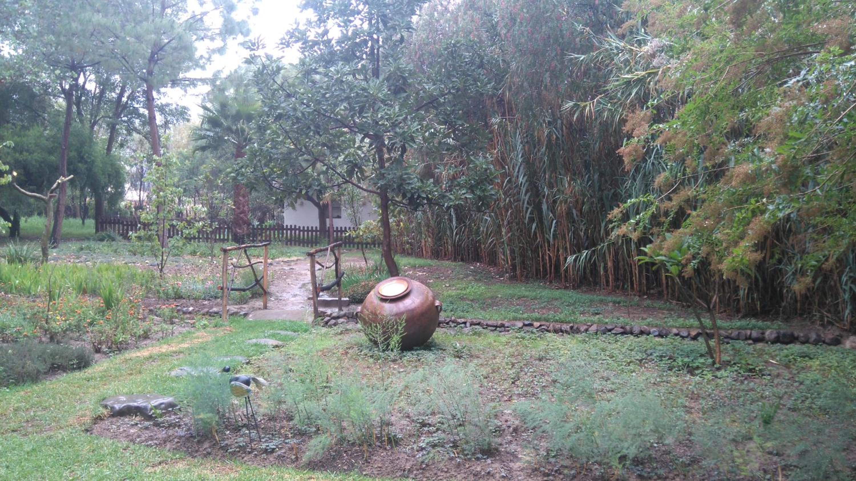 Photo 27