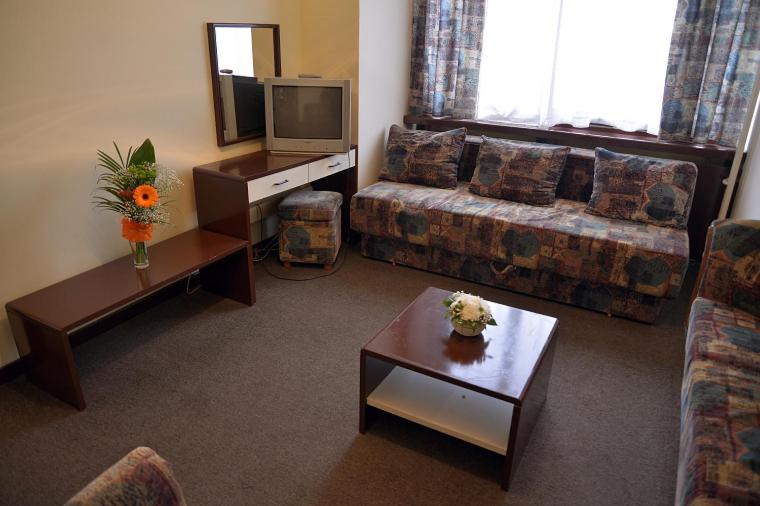 B&B Inex Negotin view 3
