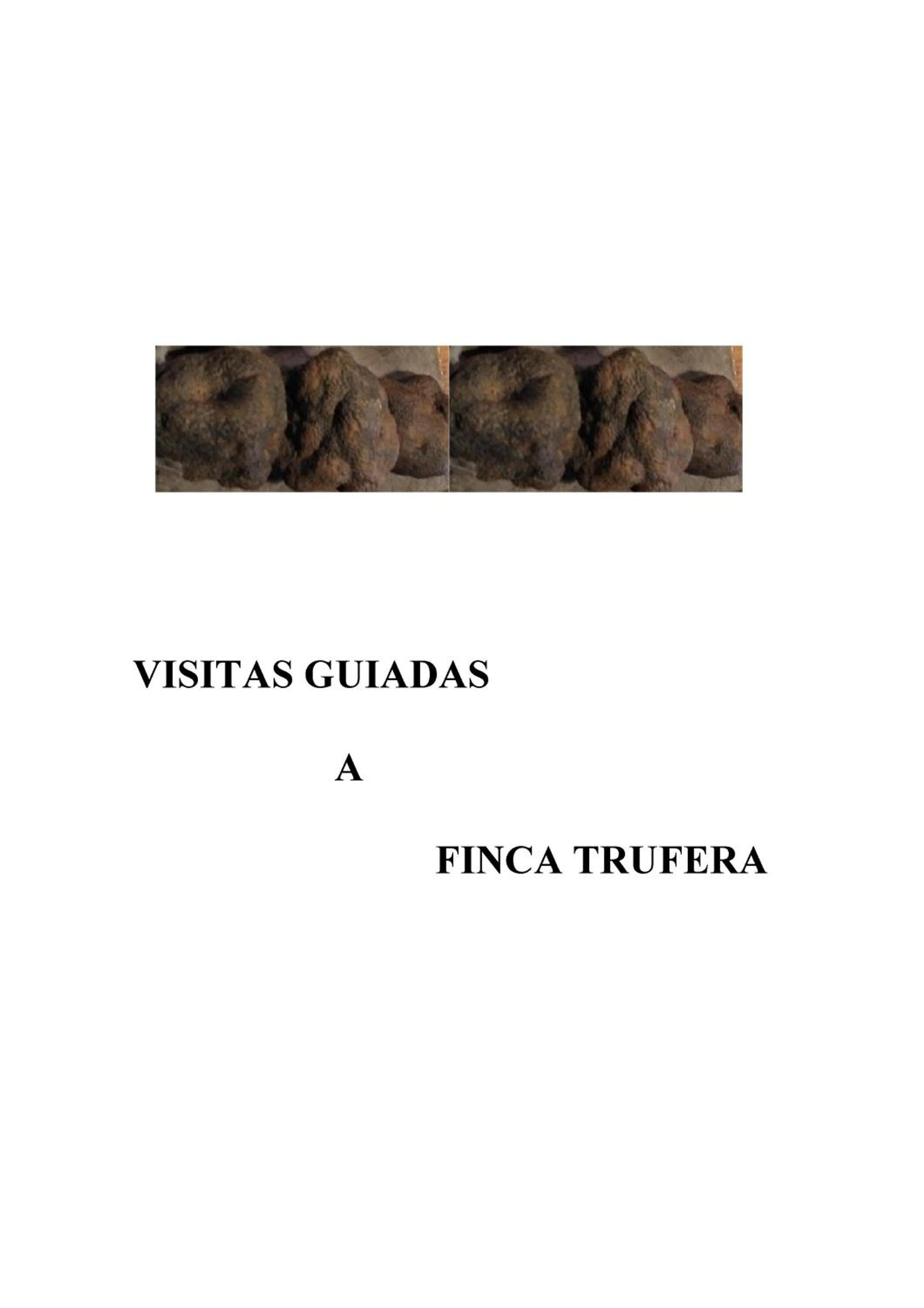 C.T.R. Camino de la Fuentona