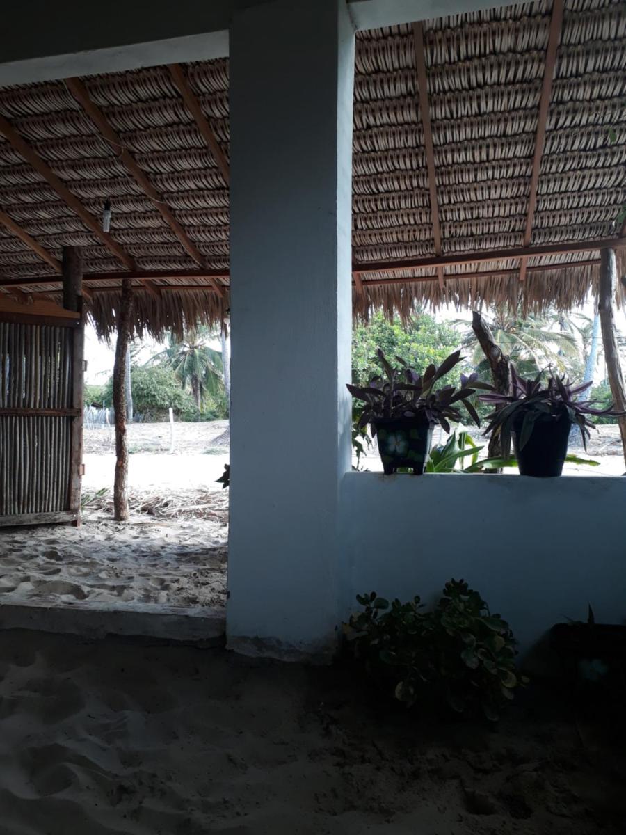 Photo 44