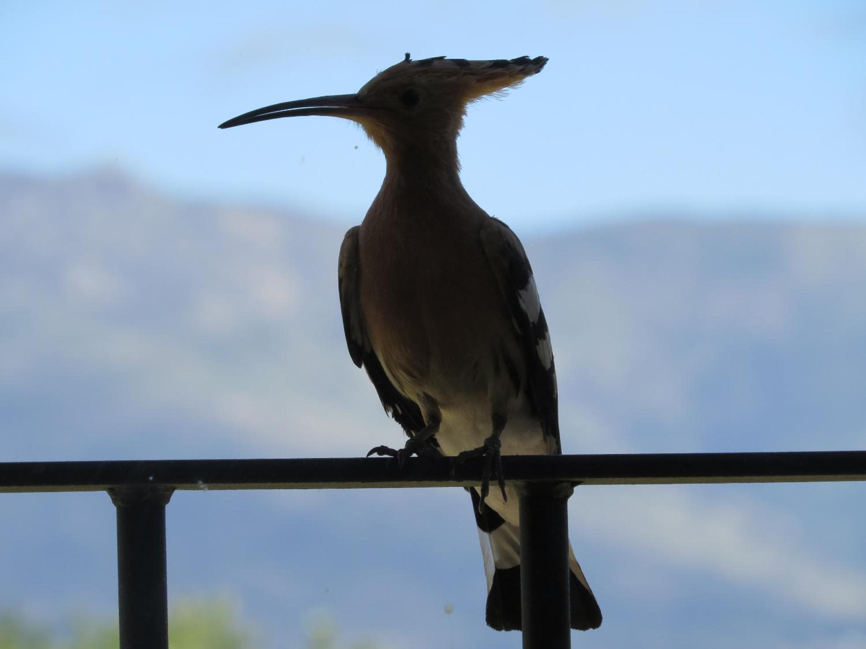 Quinta de Seves