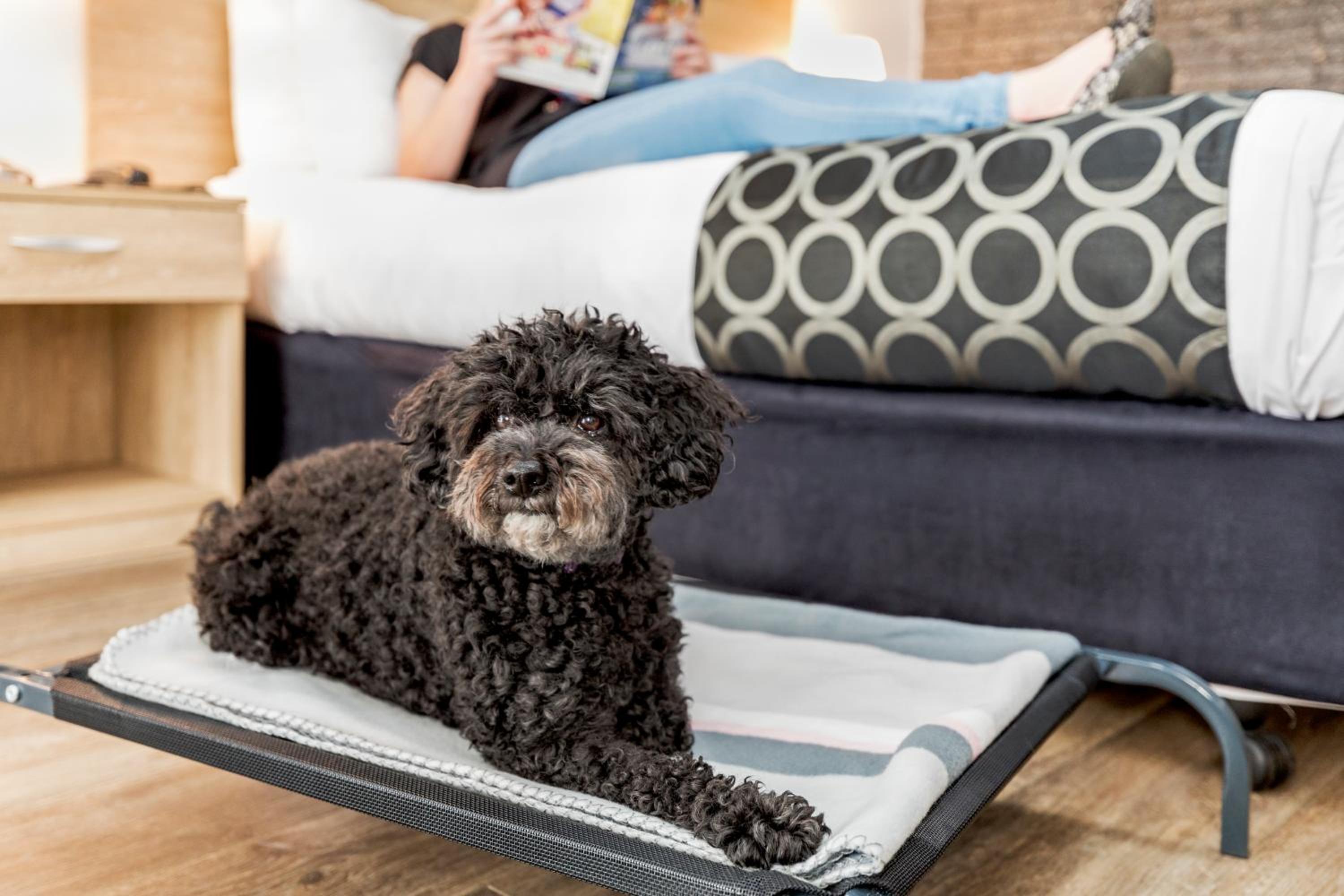 human