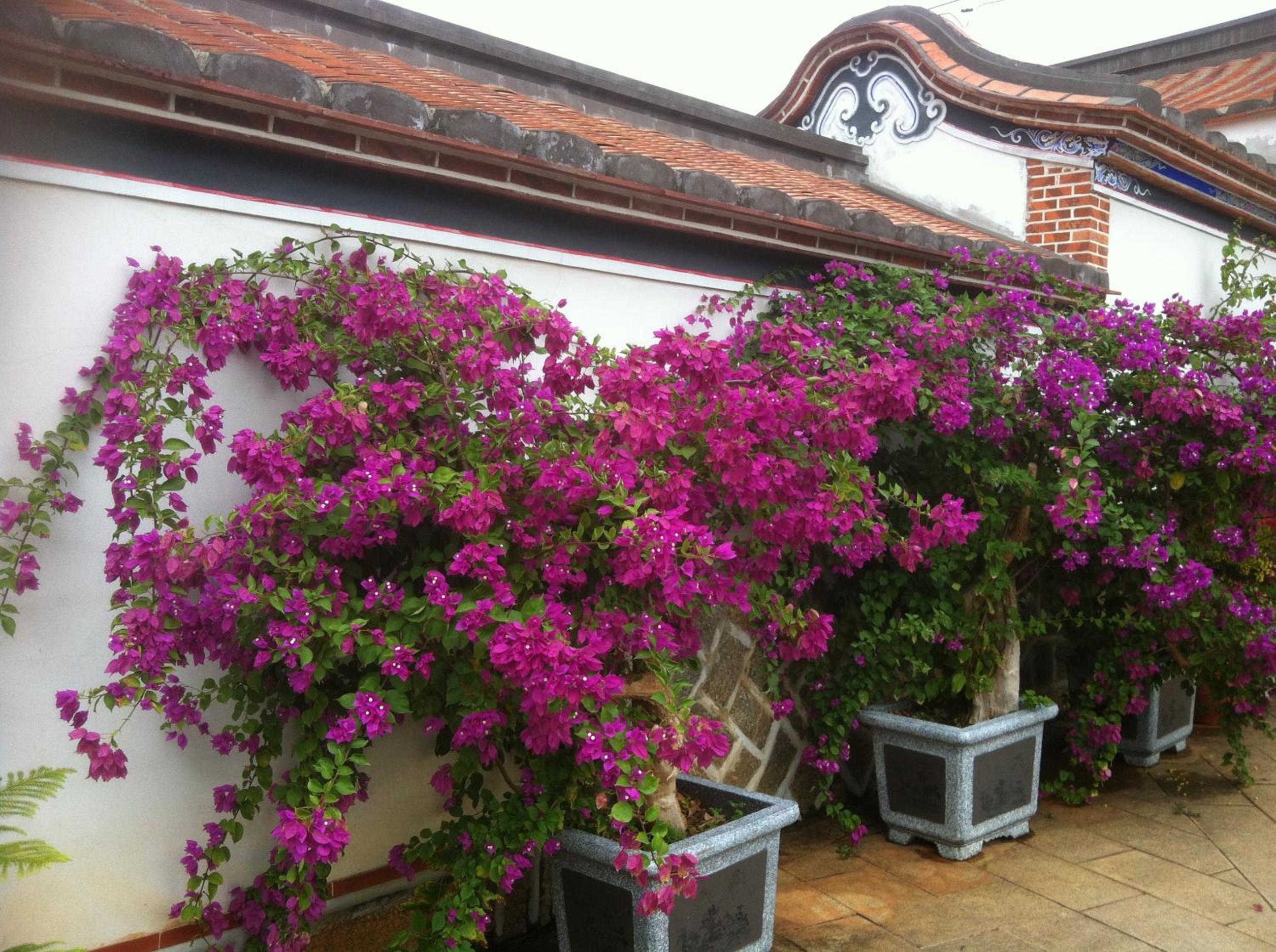 Grace Homestay 54