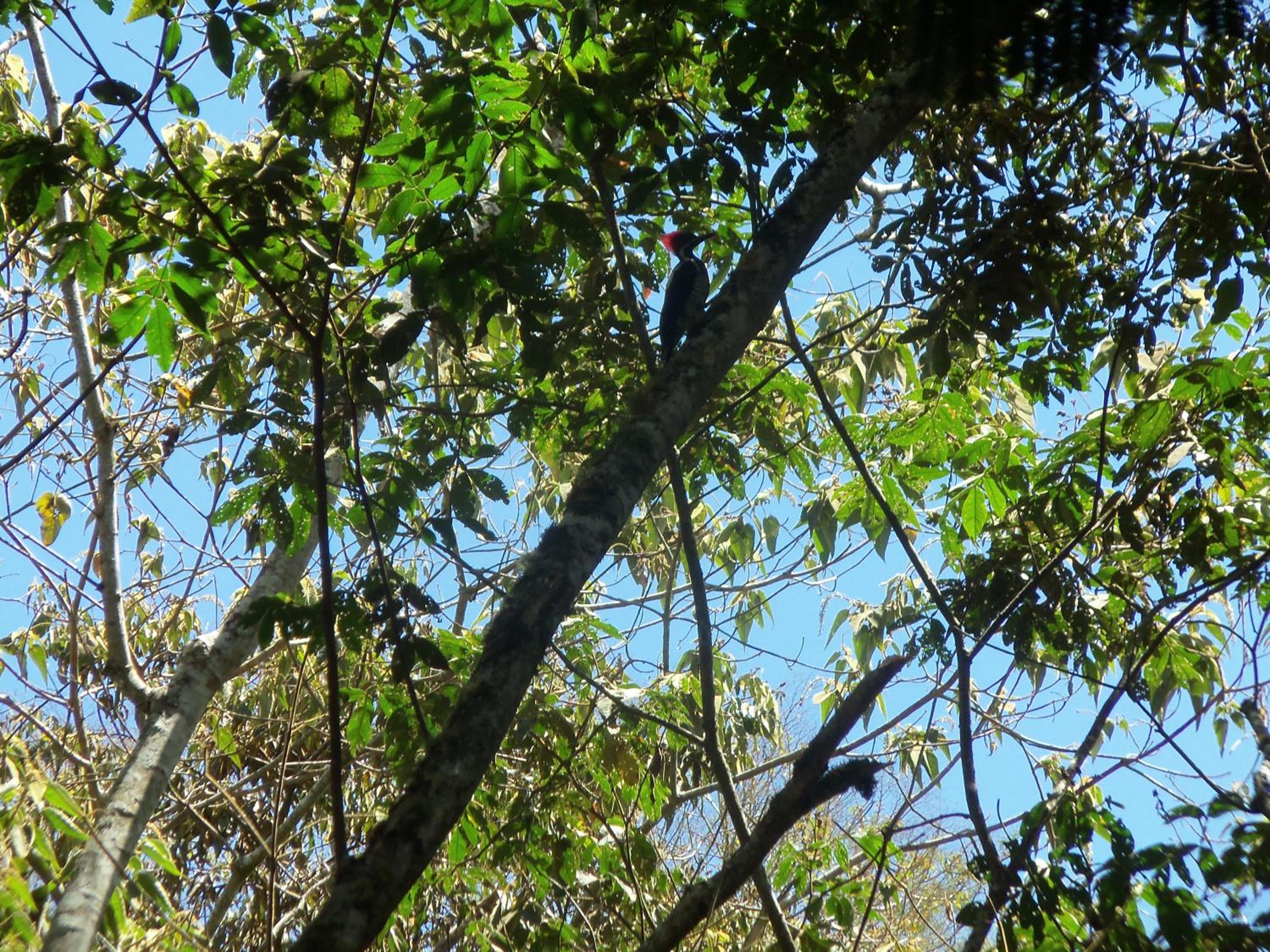 Refugio de Orquídeas