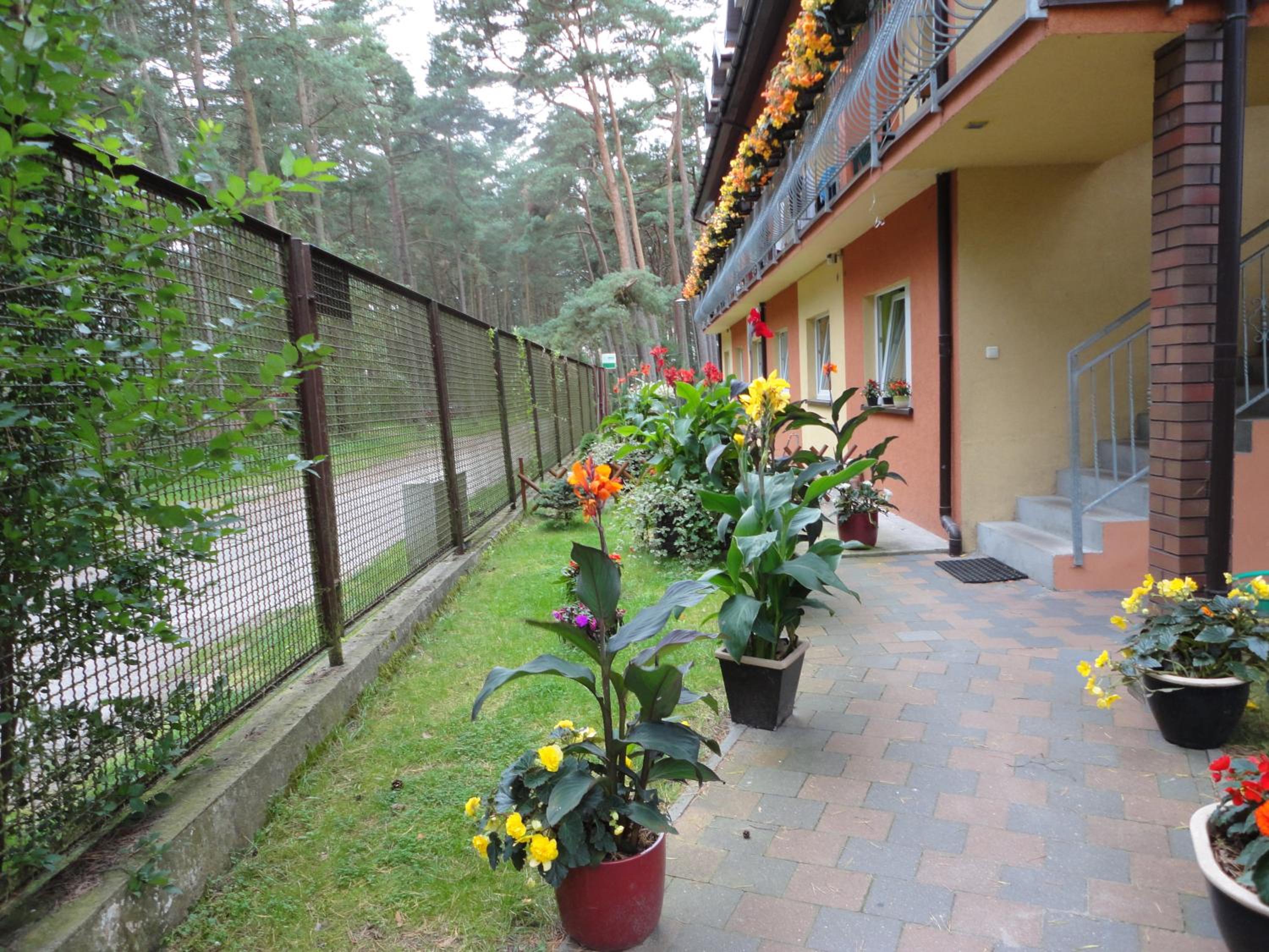 Photo 53