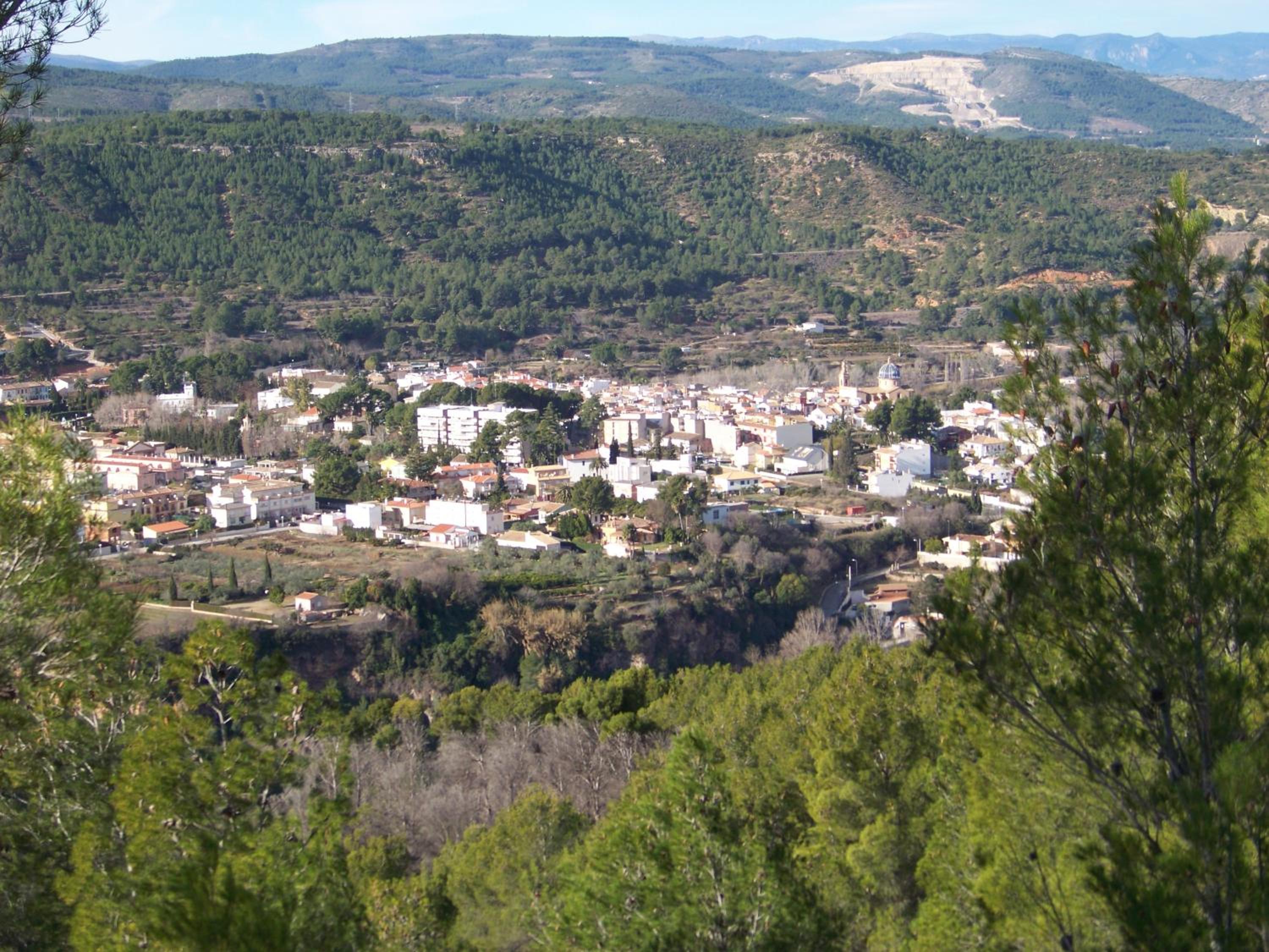 Photo 20