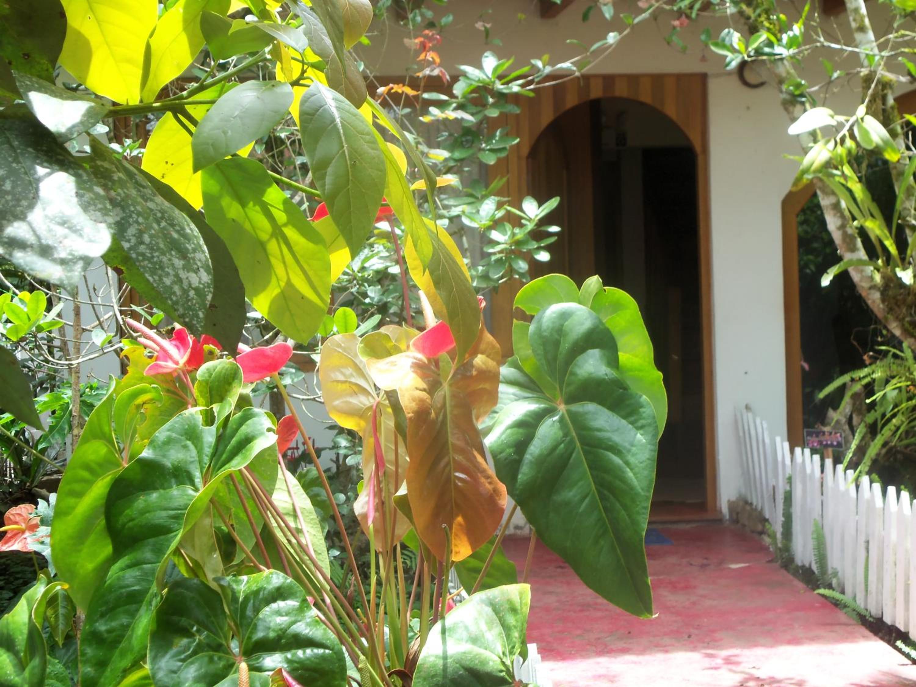 Refugio de Orquídeas