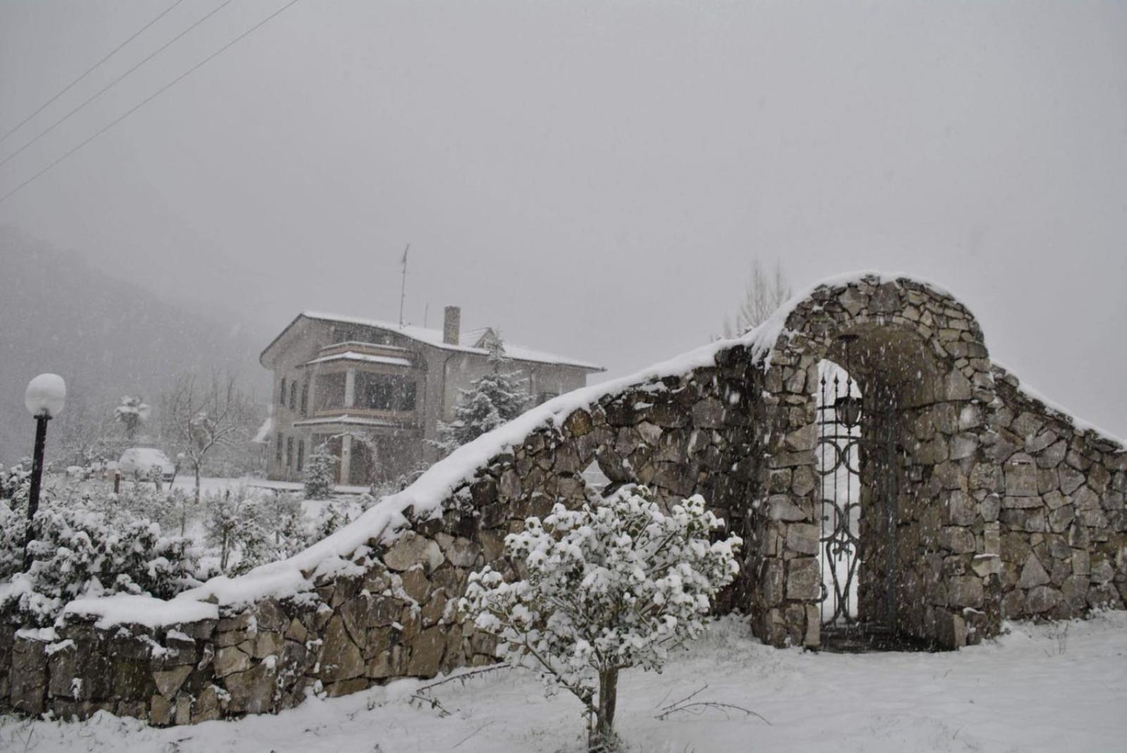 Photo 11