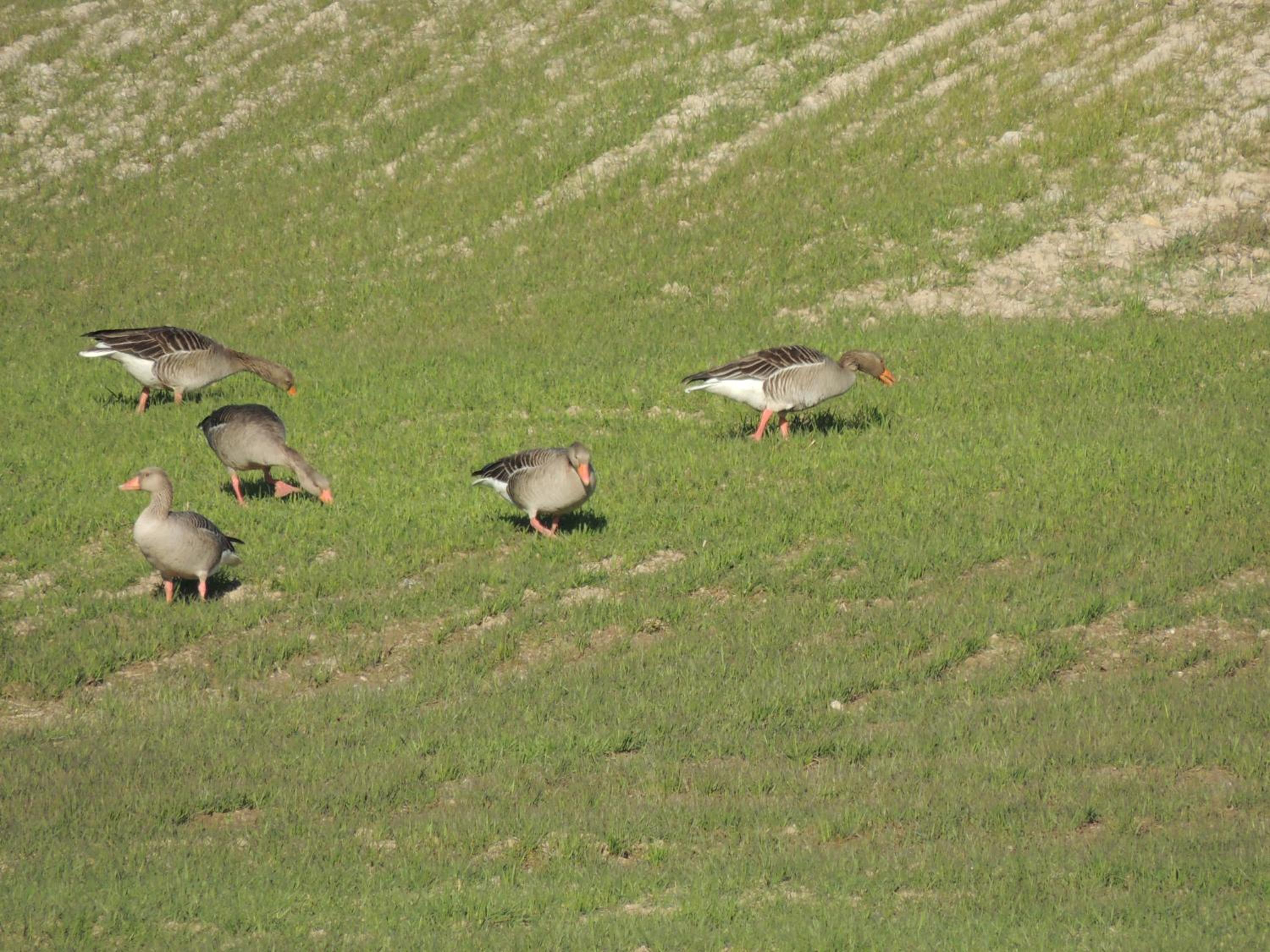 Mirador Ardea Mendixur view 5