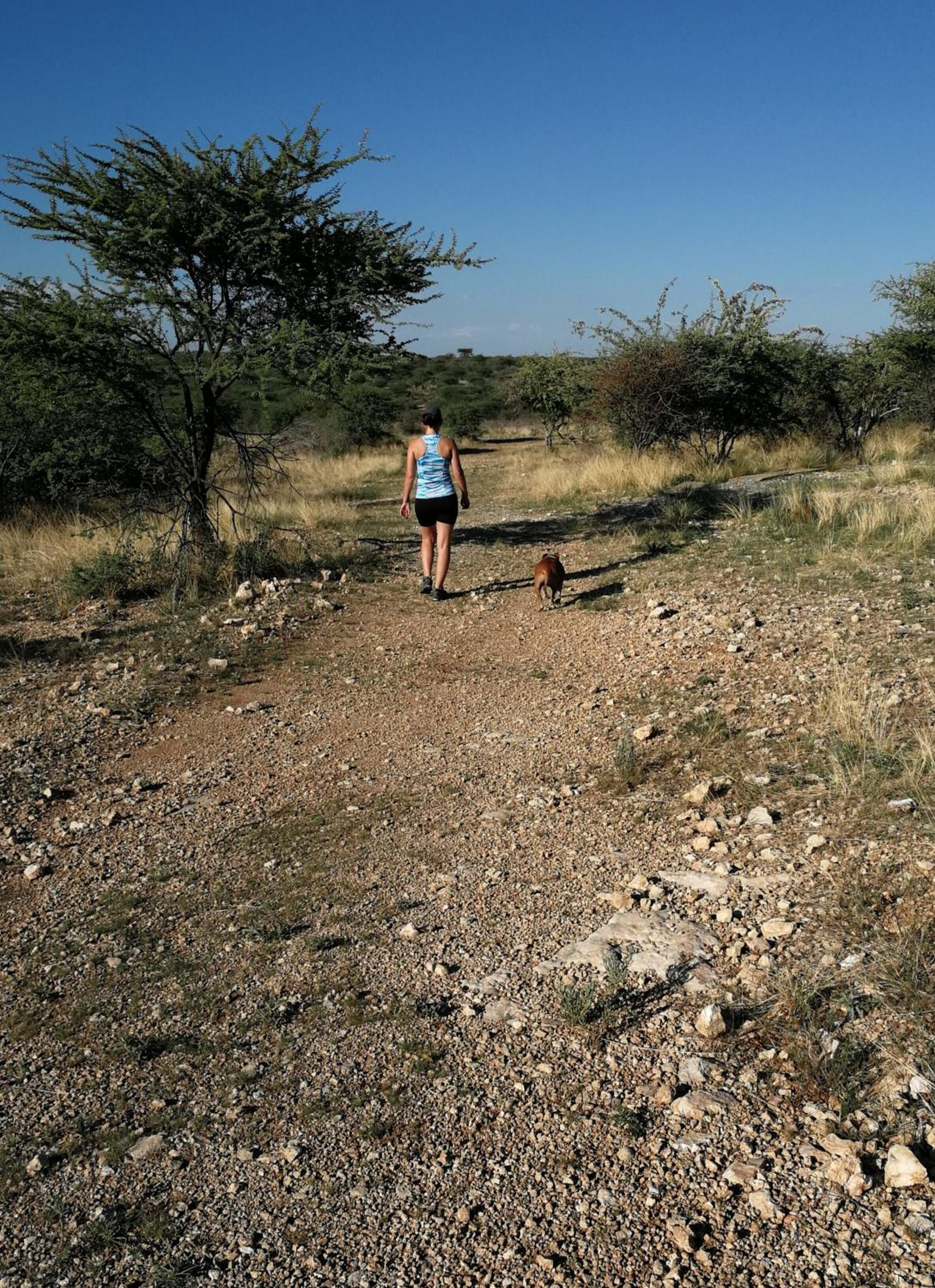 Etotongwe Lodge