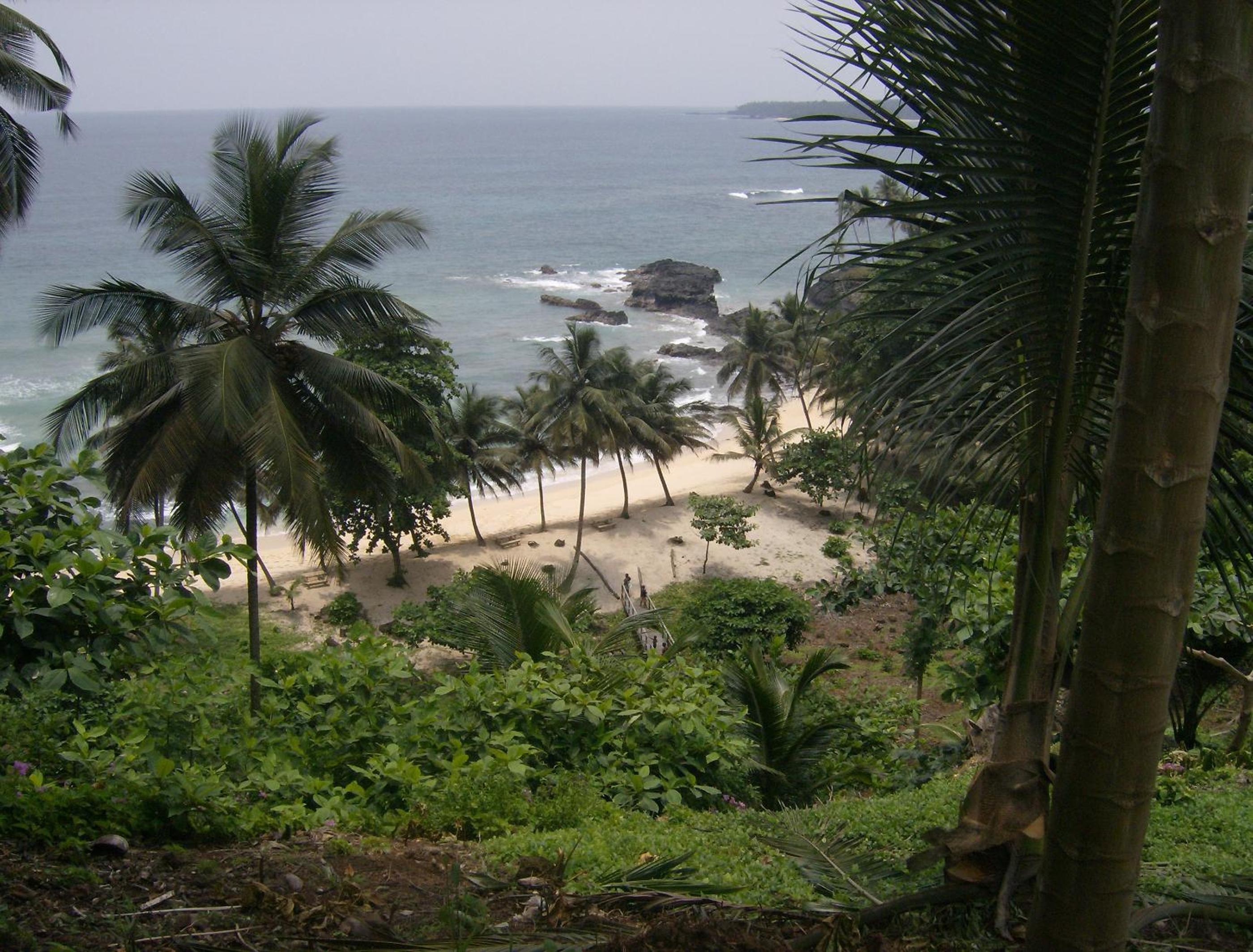 Photo 21