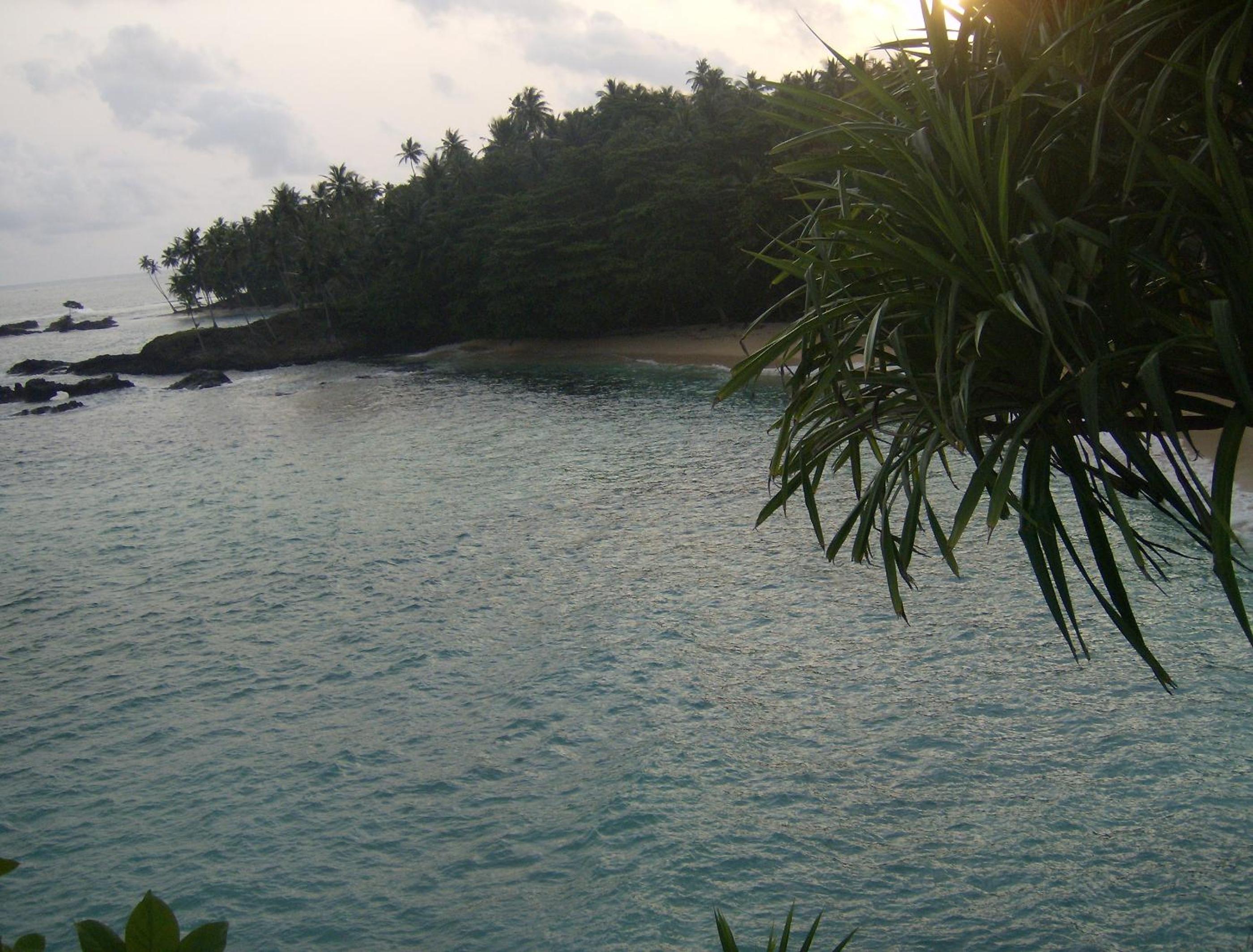 Photo 30