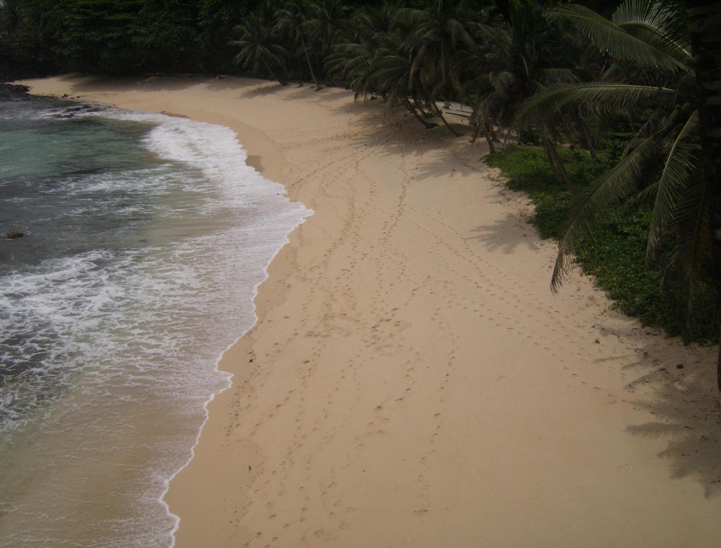 Photo 41