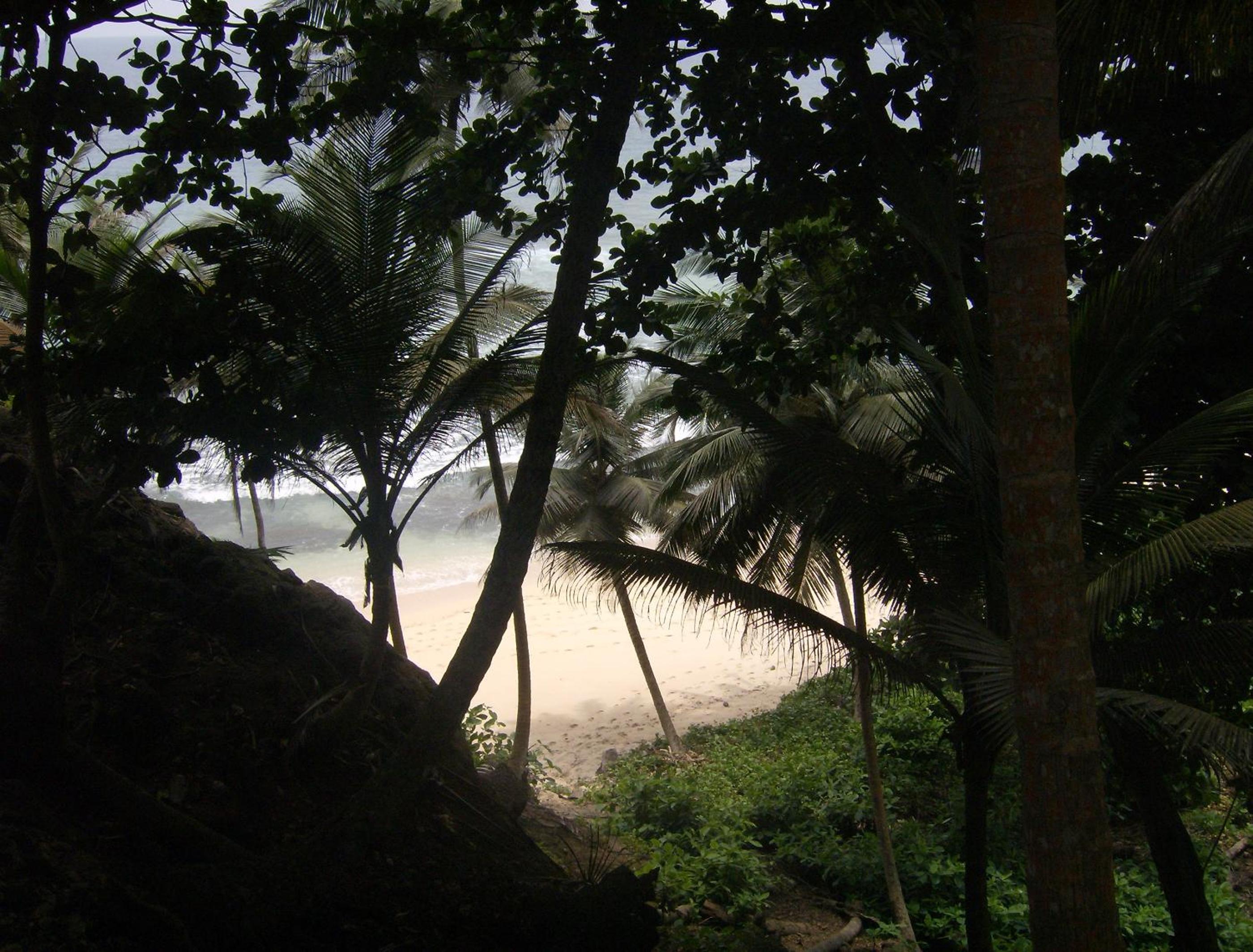 Photo 43