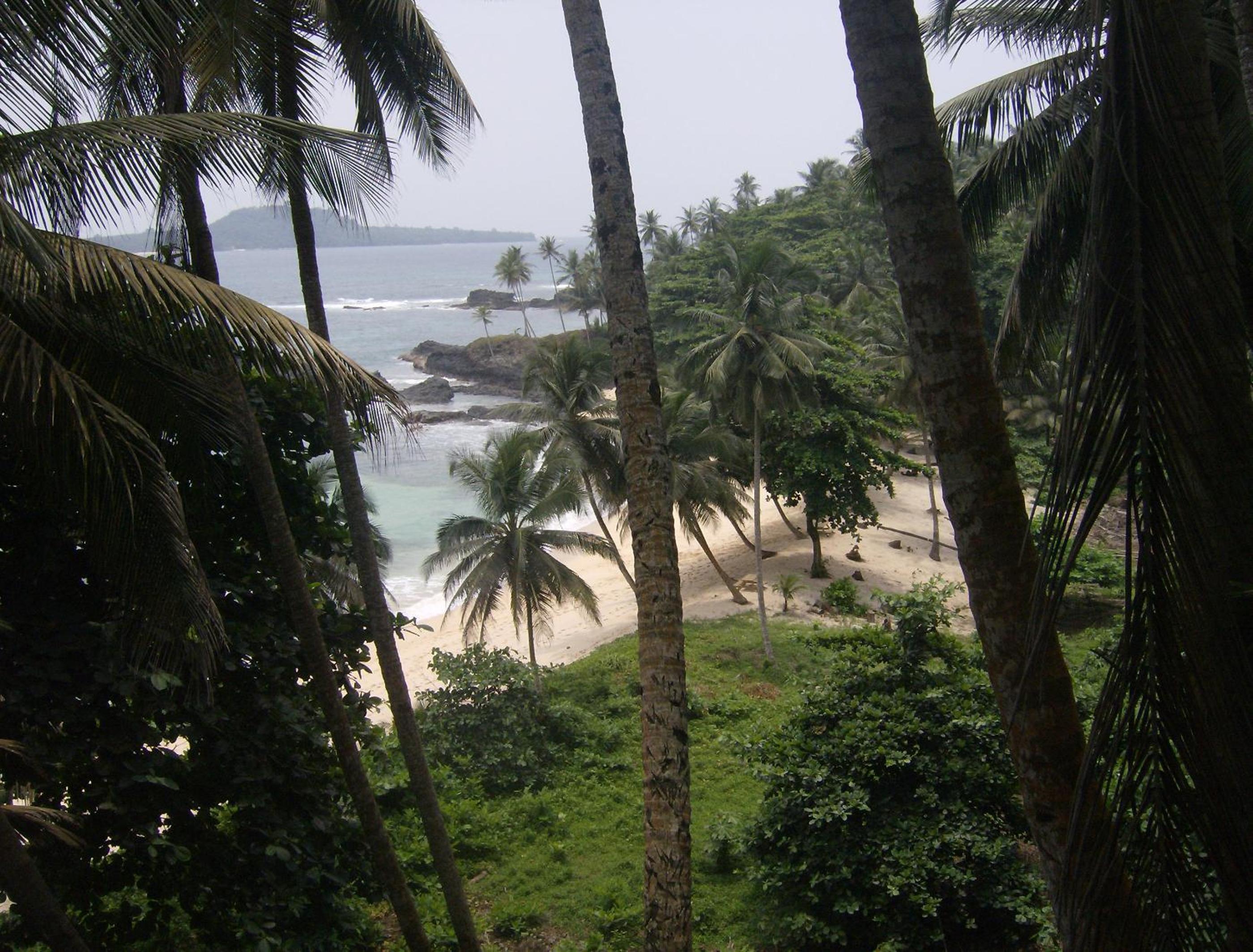 Photo 44