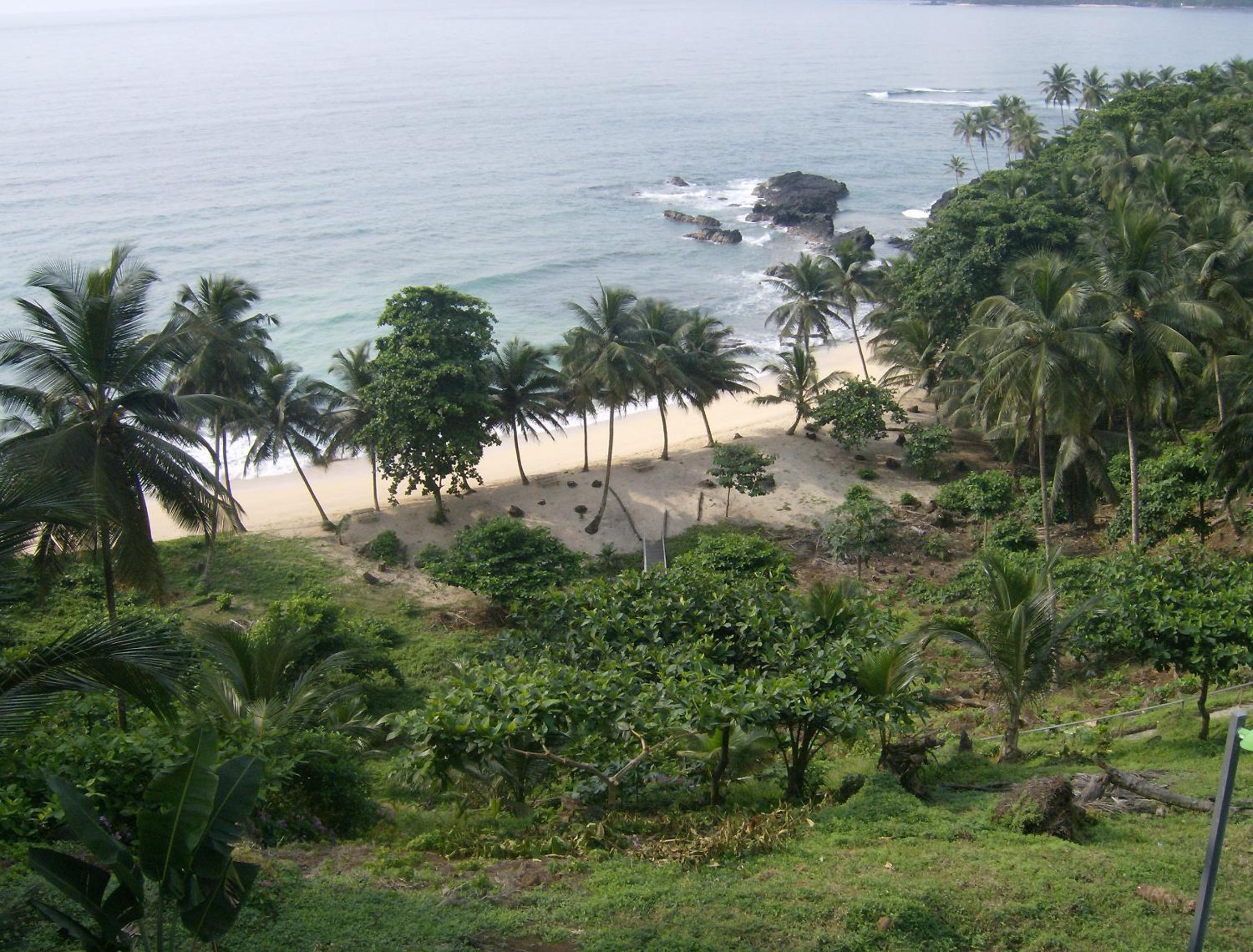 Photo 45