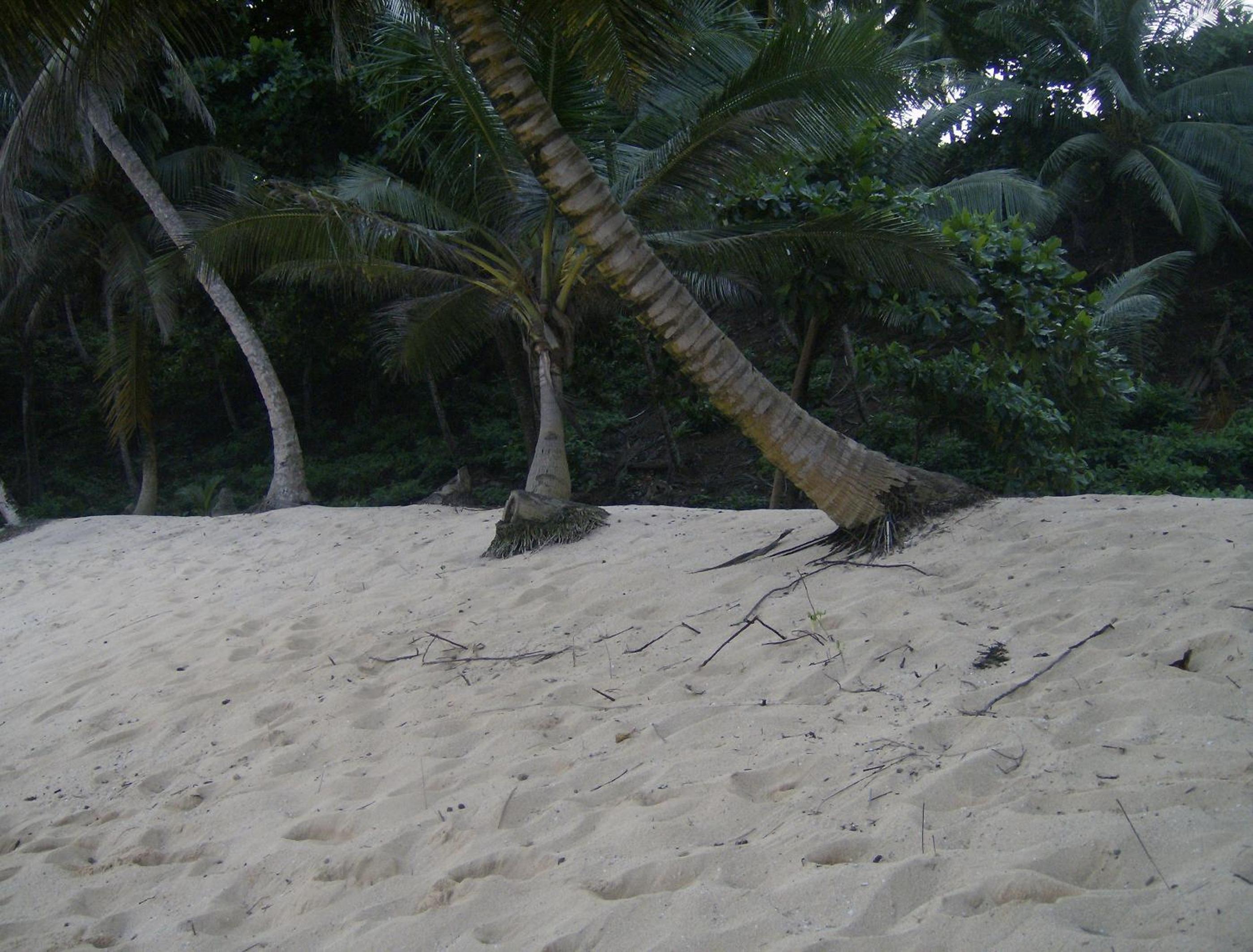Photo 46